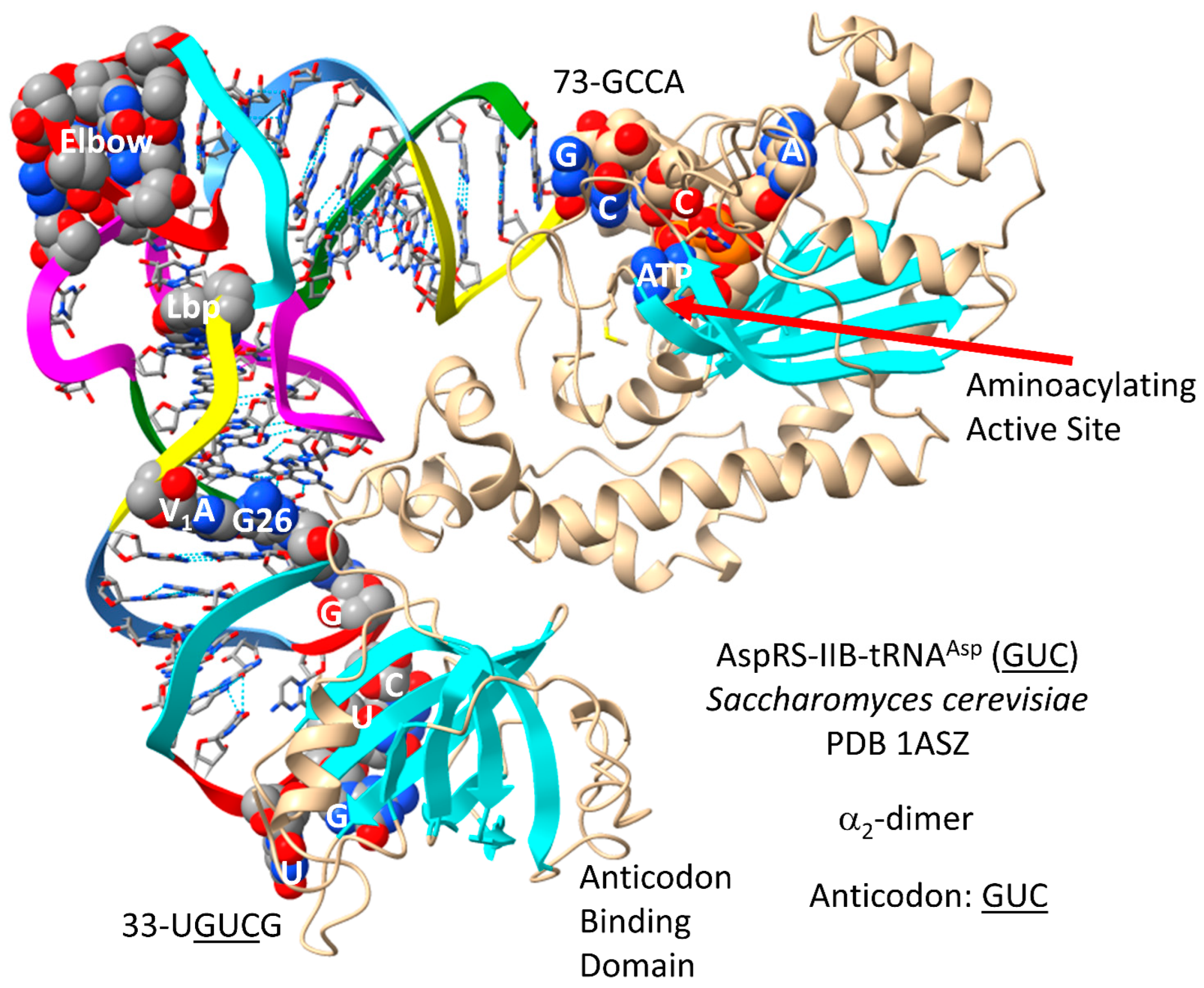 Genes 17 00544 g023 Genes 17 00544 g023