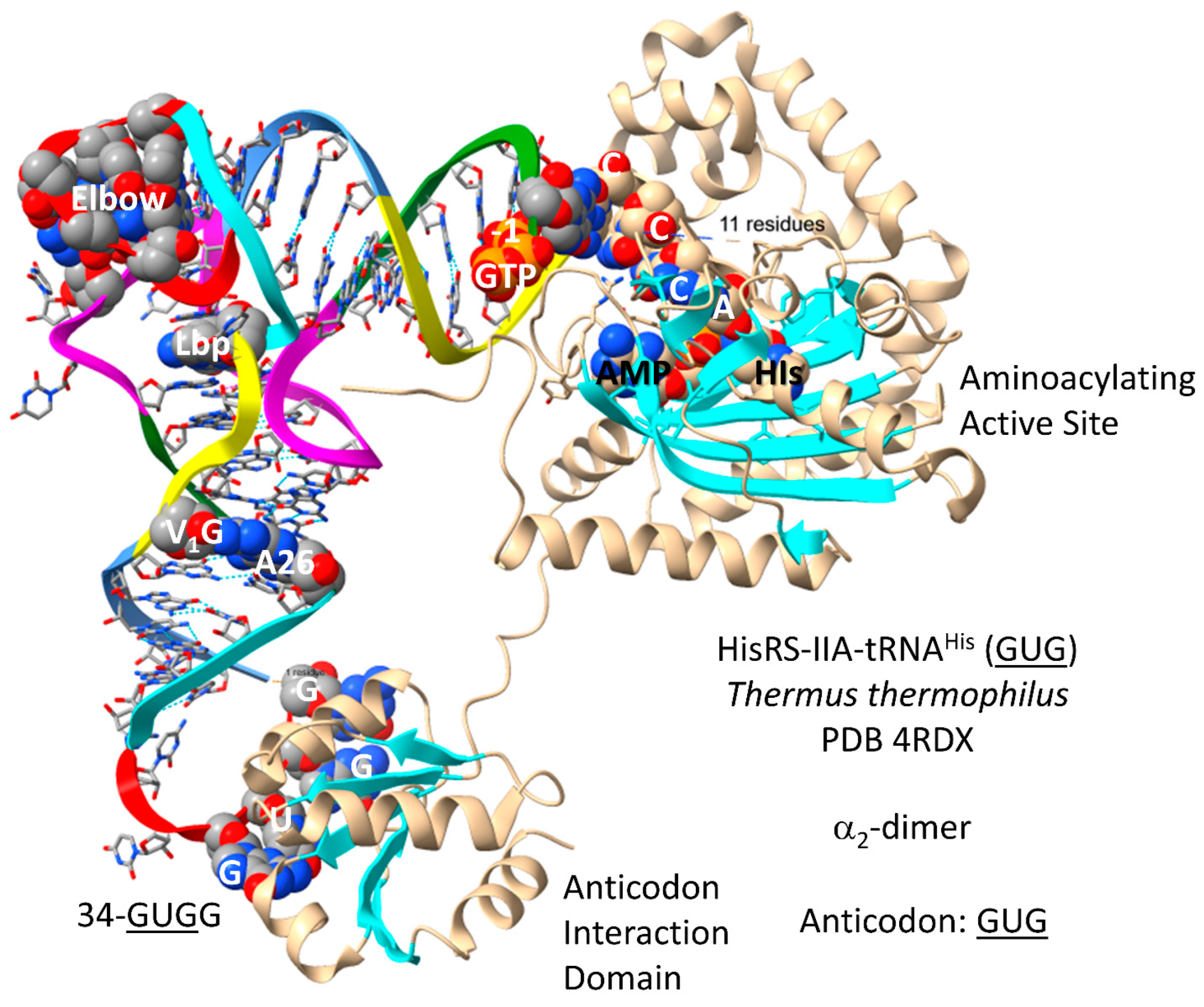 Genes 17 00544 g026 Genes 17 00544 g026