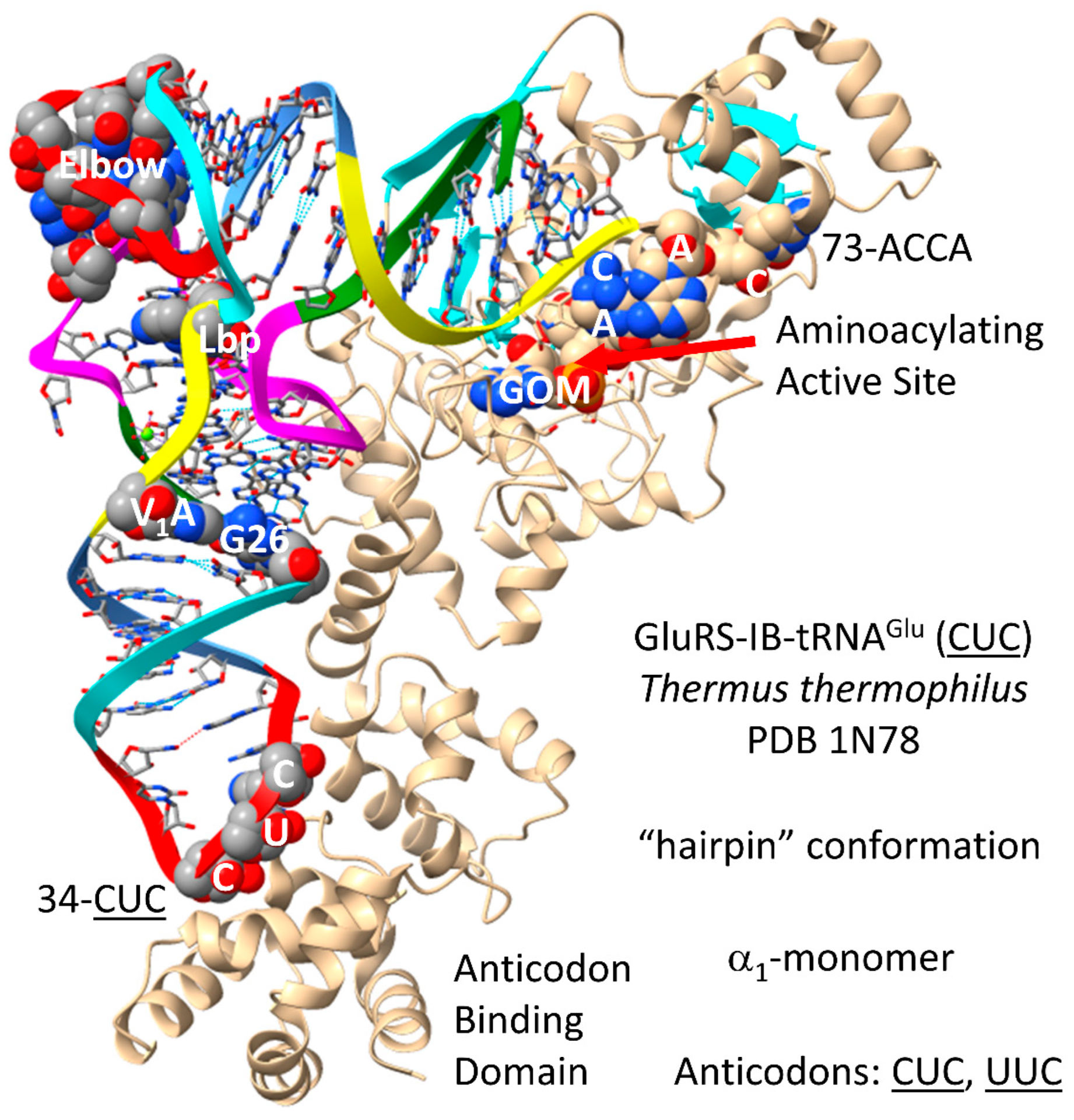 Genes 17 00544 g028 Genes 17 00544 g028
