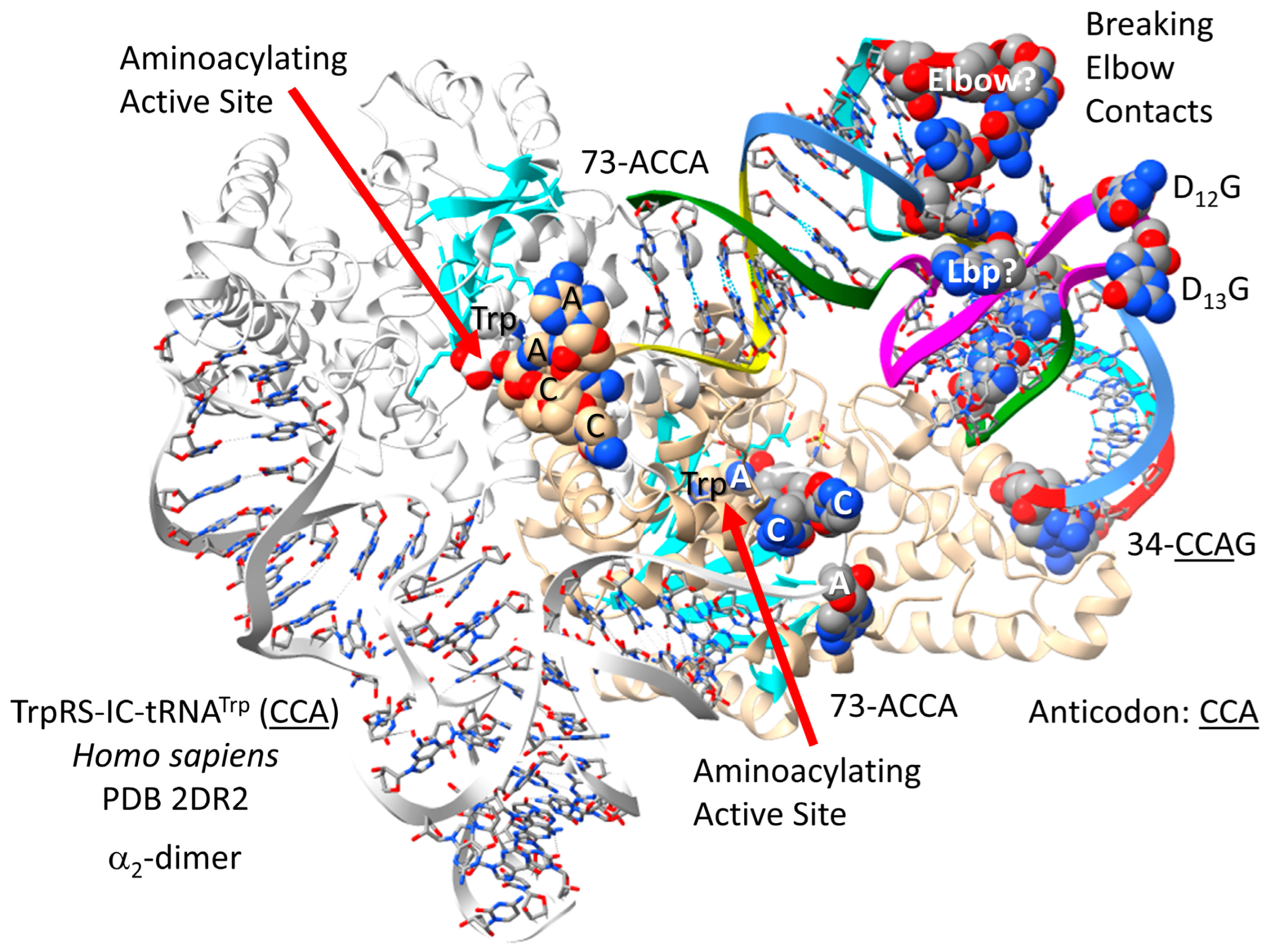 Genes 17 00544 g037 Genes 17 00544 g037