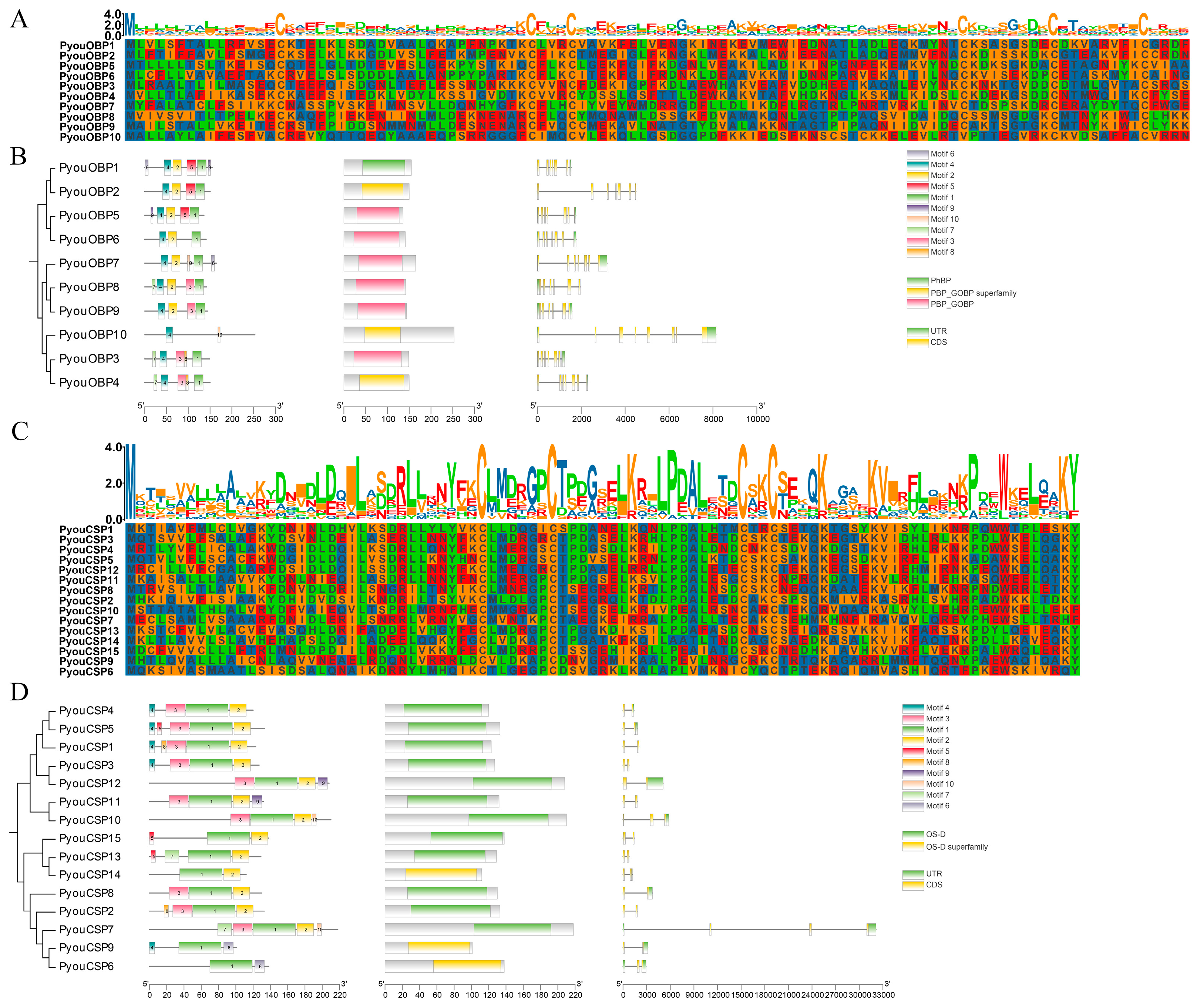 Genes 17 00549 g001