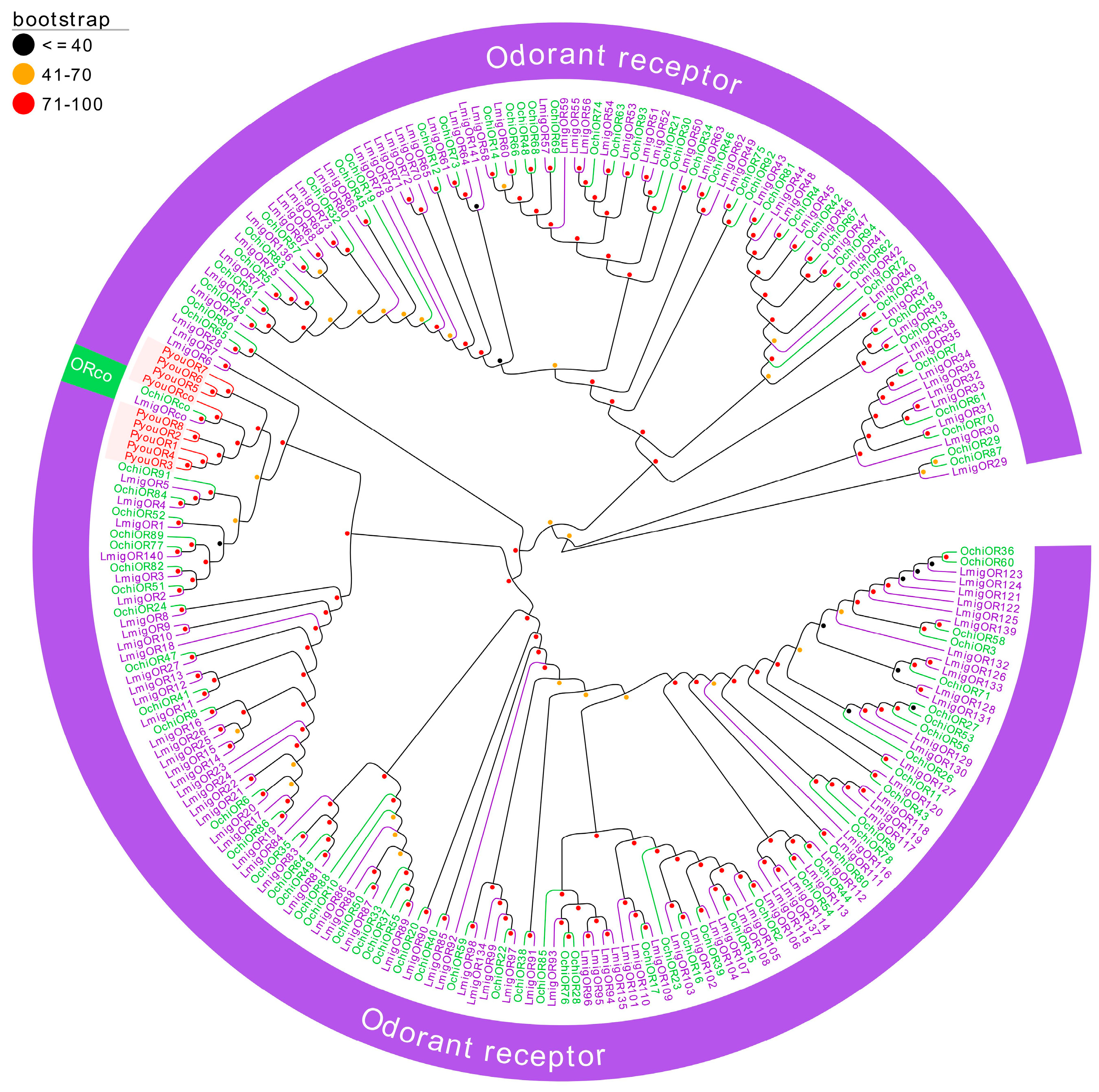Genes 17 00549 g003
