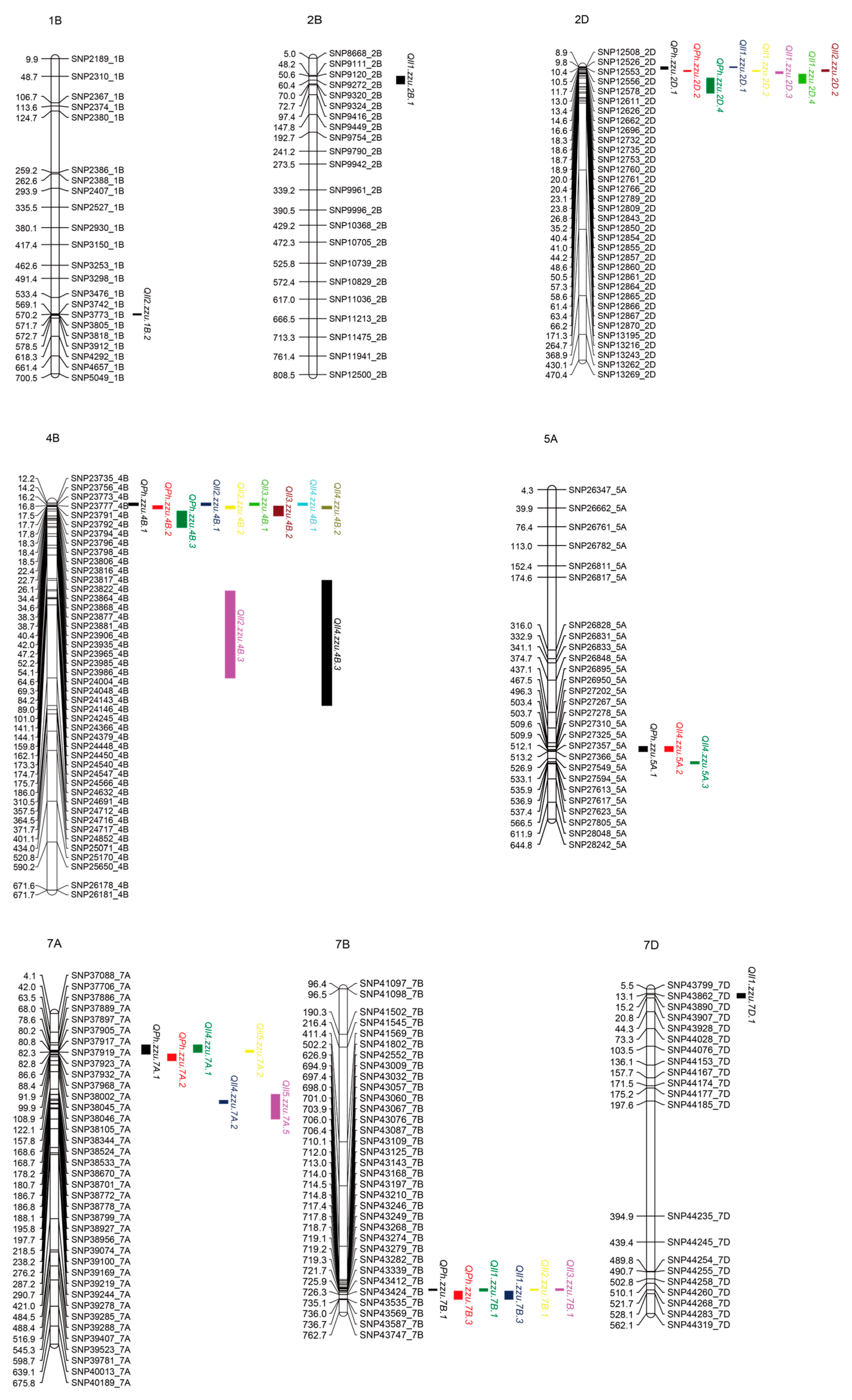 Genes 17 00567 g003 Genes 17 00567 g003