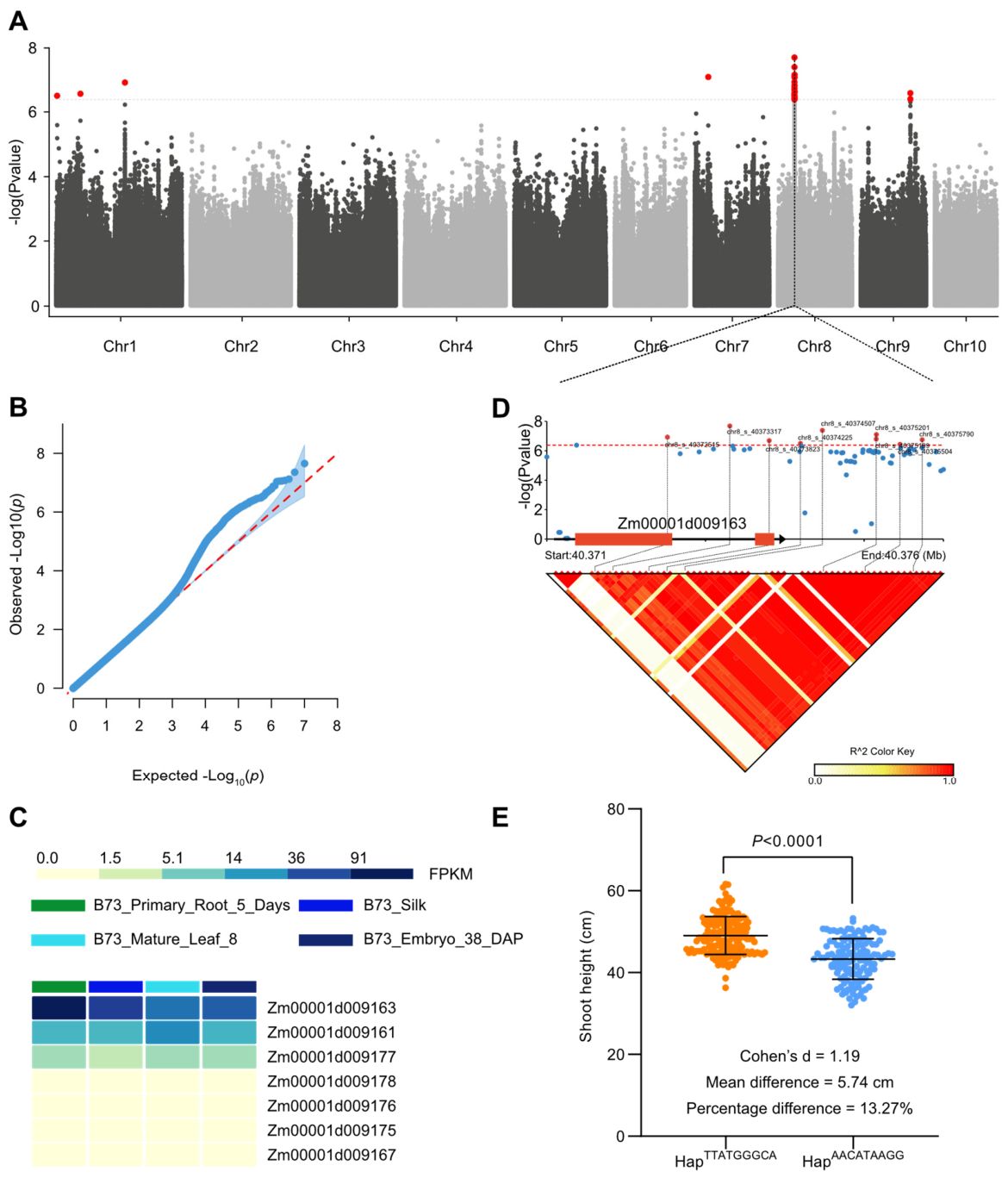 Genes 17 00570 g004 Genes 17 00570 g004