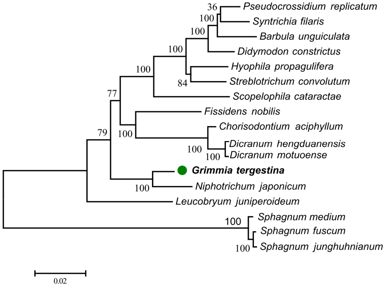 Genes 17 00572 g004 Genes 17 00572 g004