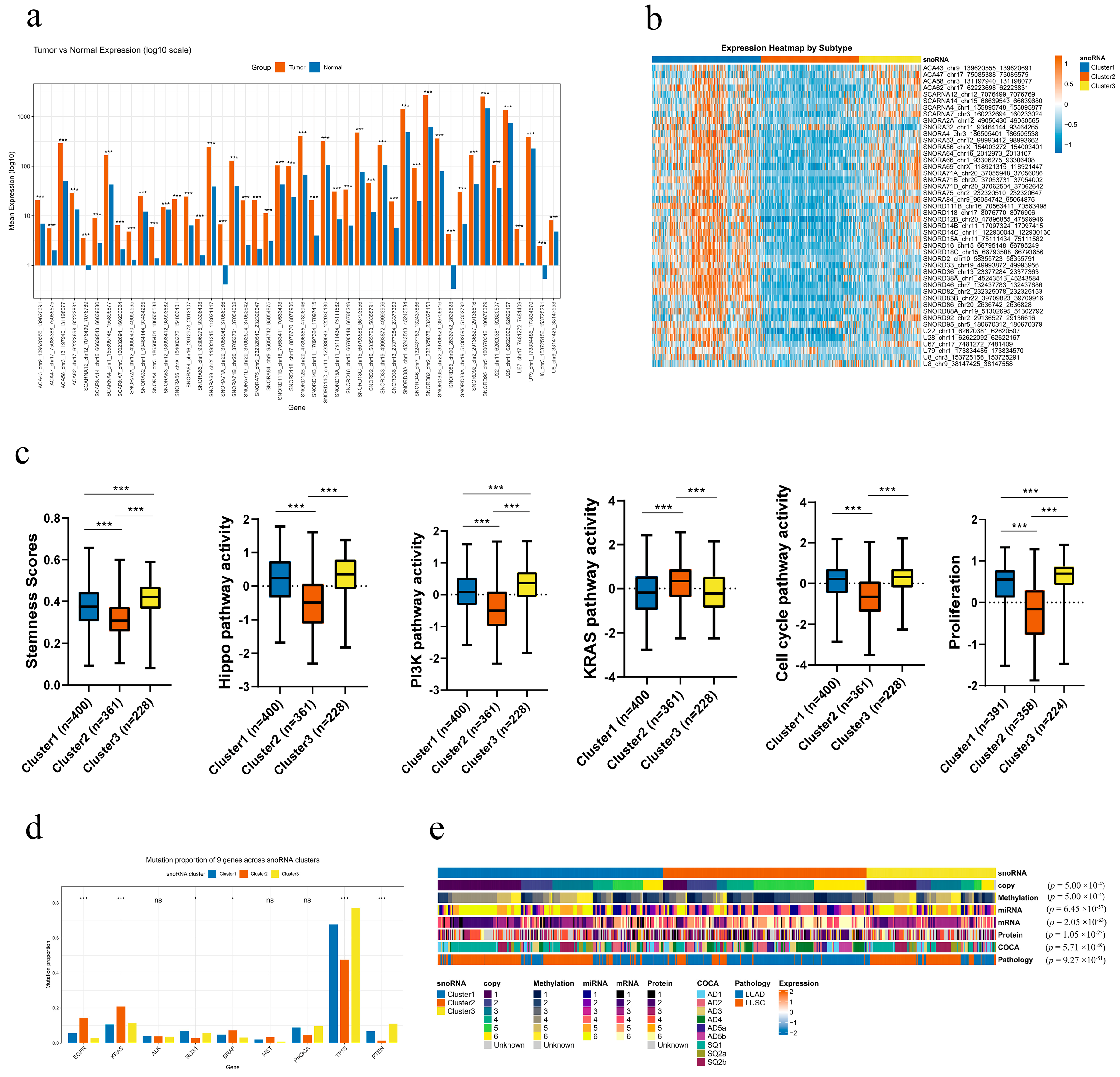 Genes 17 00581 g005 Genes 17 00581 g005