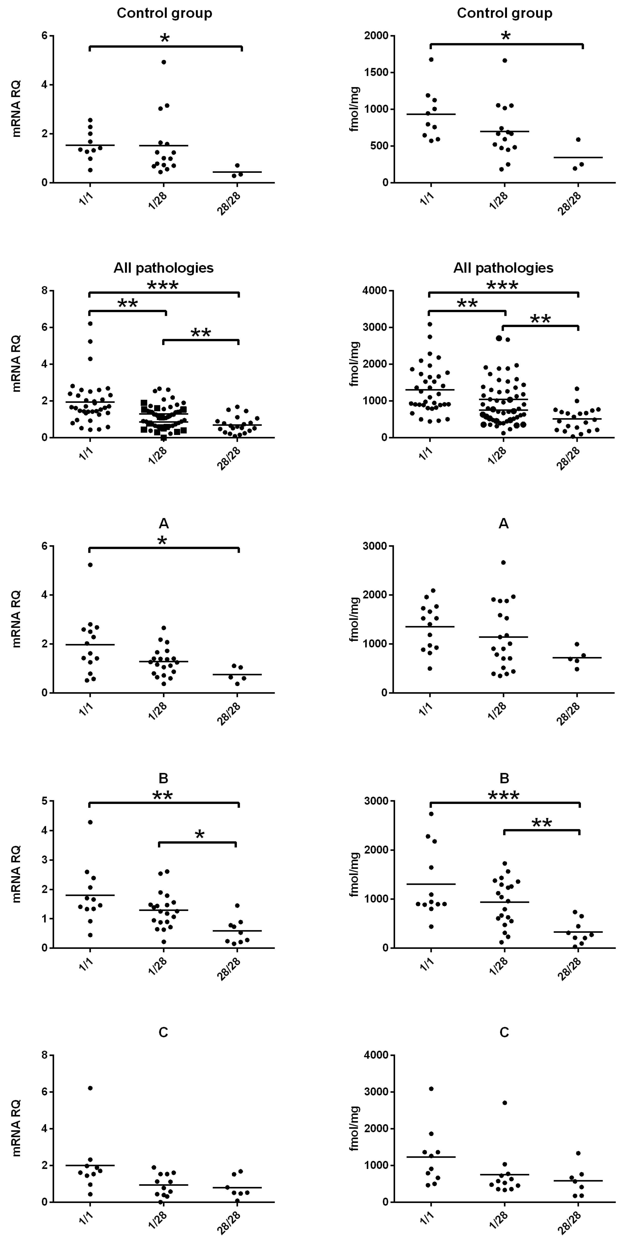 Genes 17 00589 g001