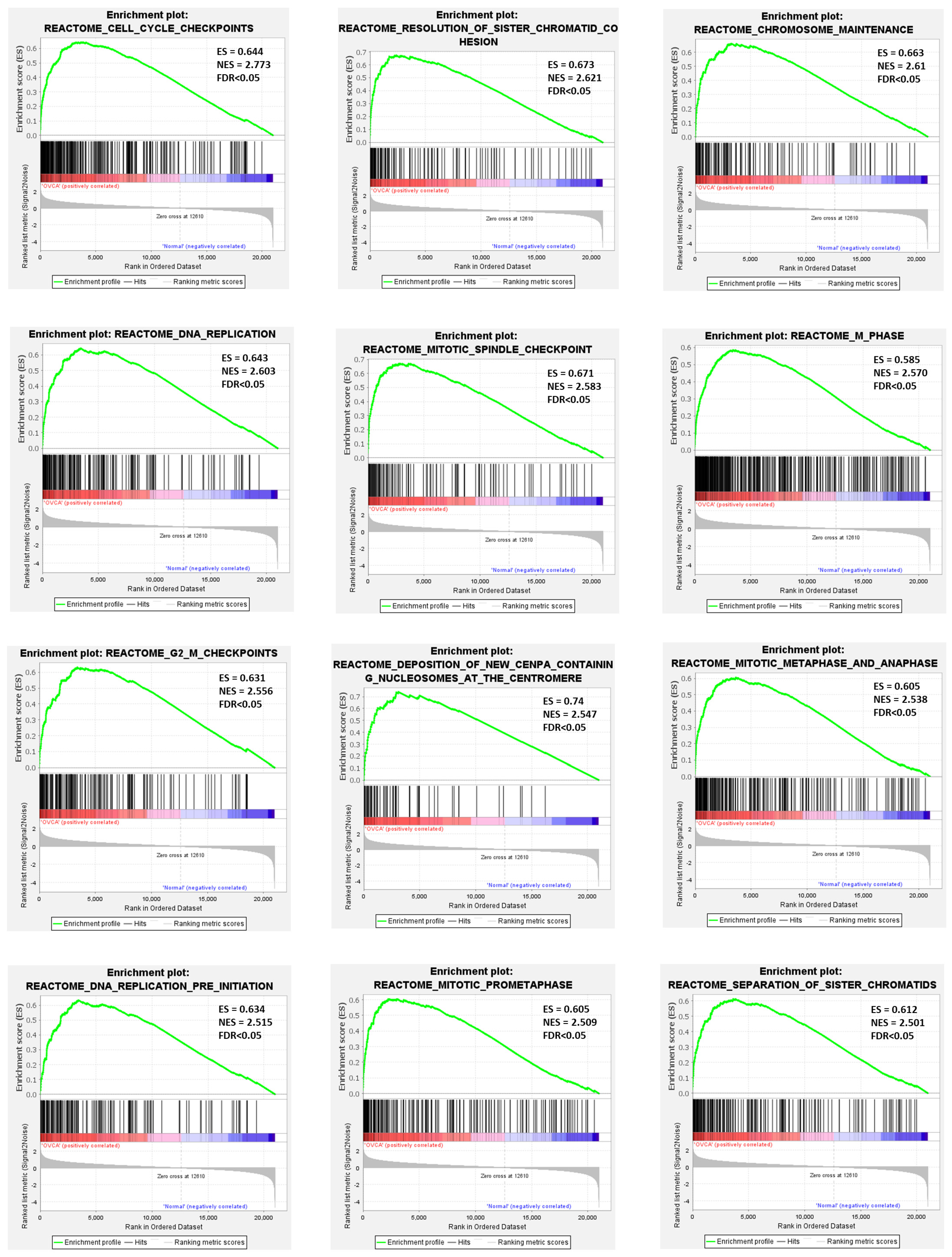 Genes 17 00595 g004 Genes 17 00595 g004