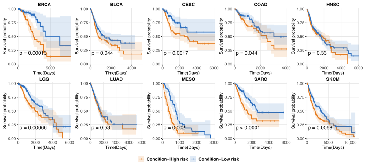 Genes 17 00597 g003
