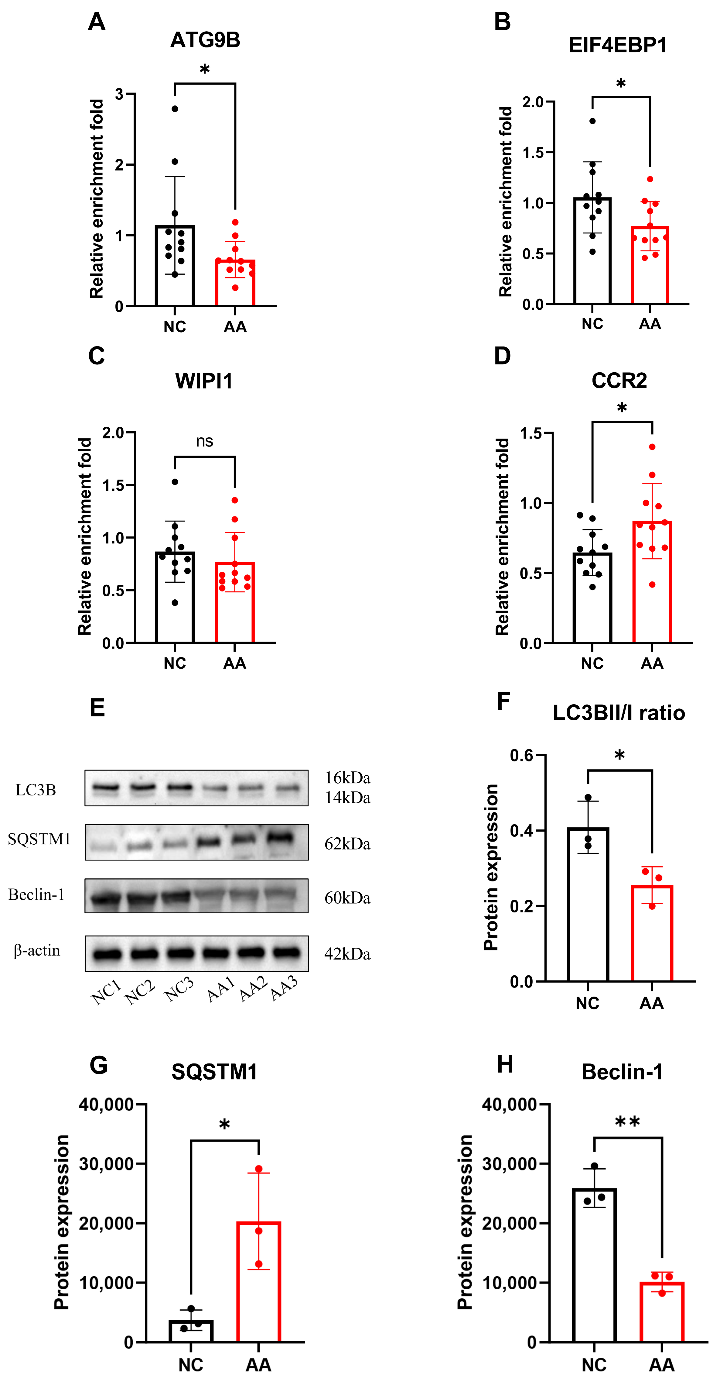 Genes 17 00600 g009 Genes 17 00600 g009
