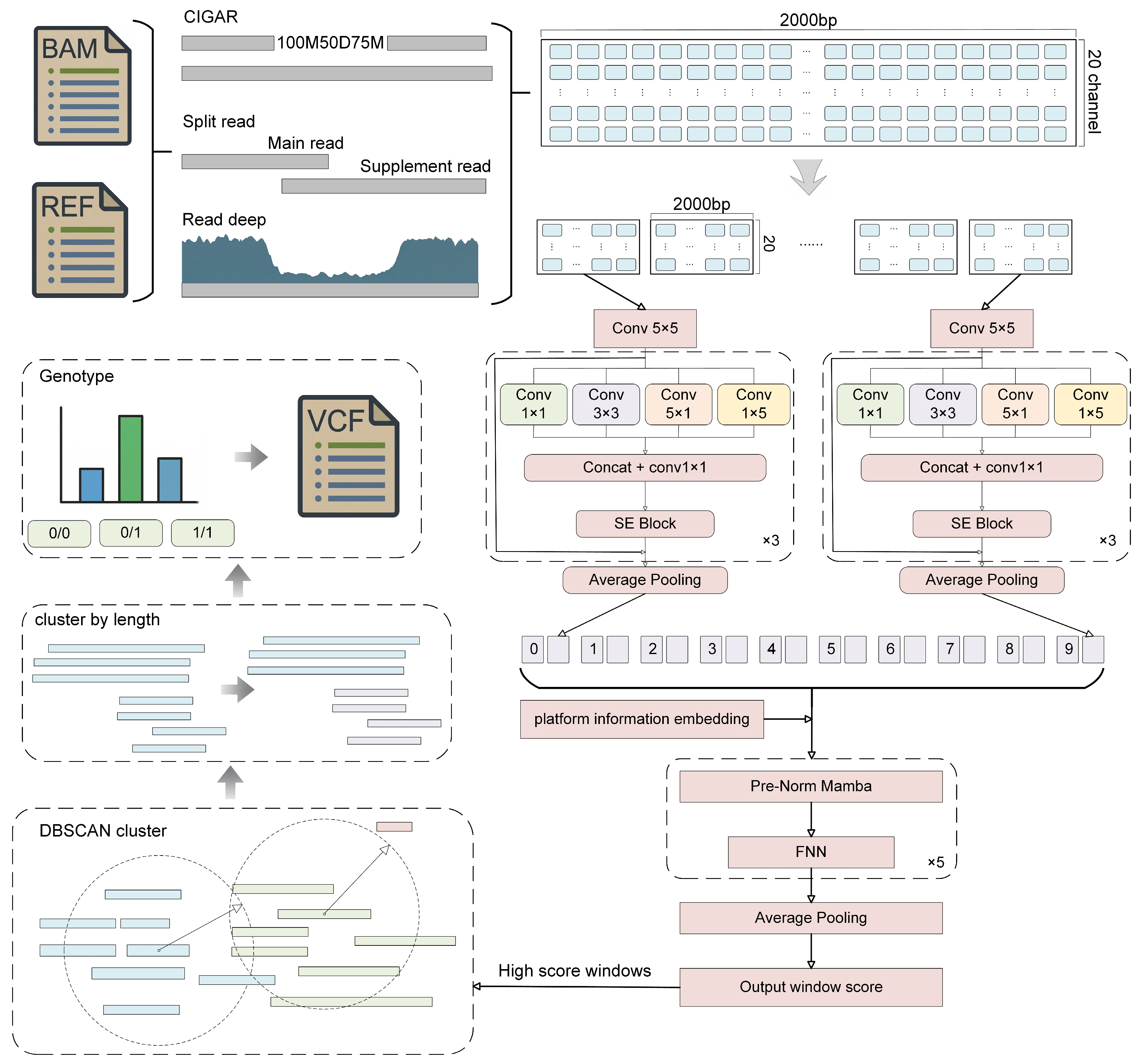 Genes 17 00633 g001
