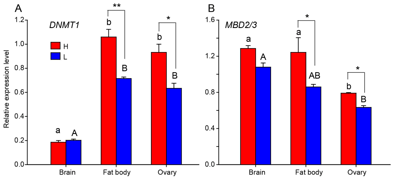 Genes 17 00641 g002 Genes 17 00641 g002