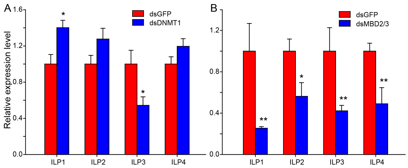 Genes 17 00641 g005 Genes 17 00641 g005