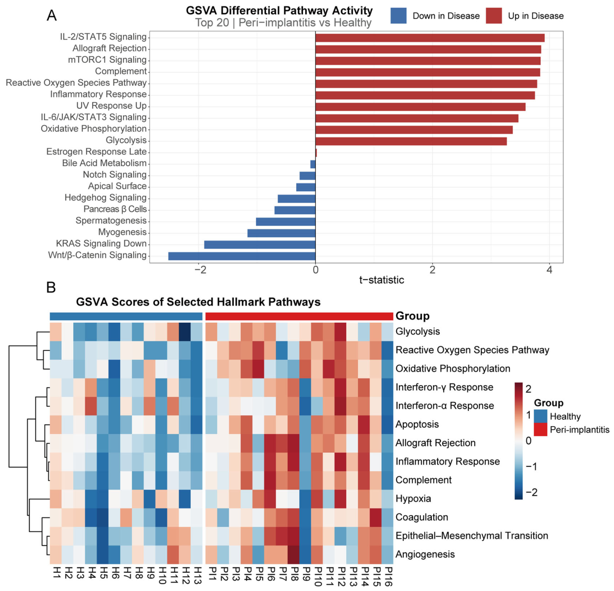 Genes 17 00664 g003