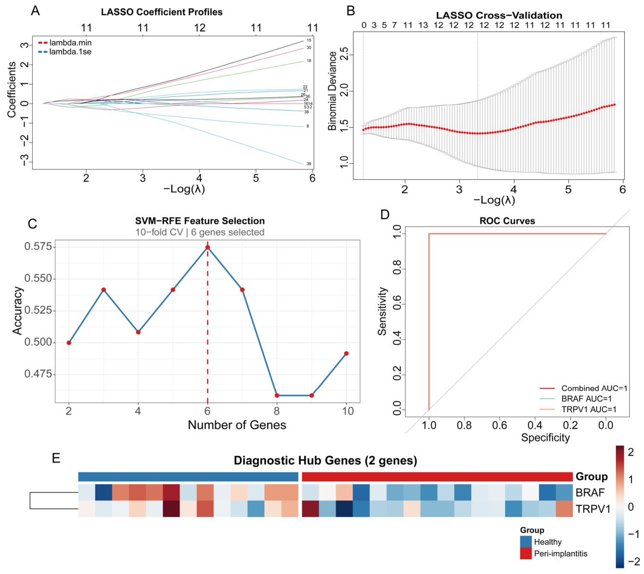 Genes 17 00664 g005