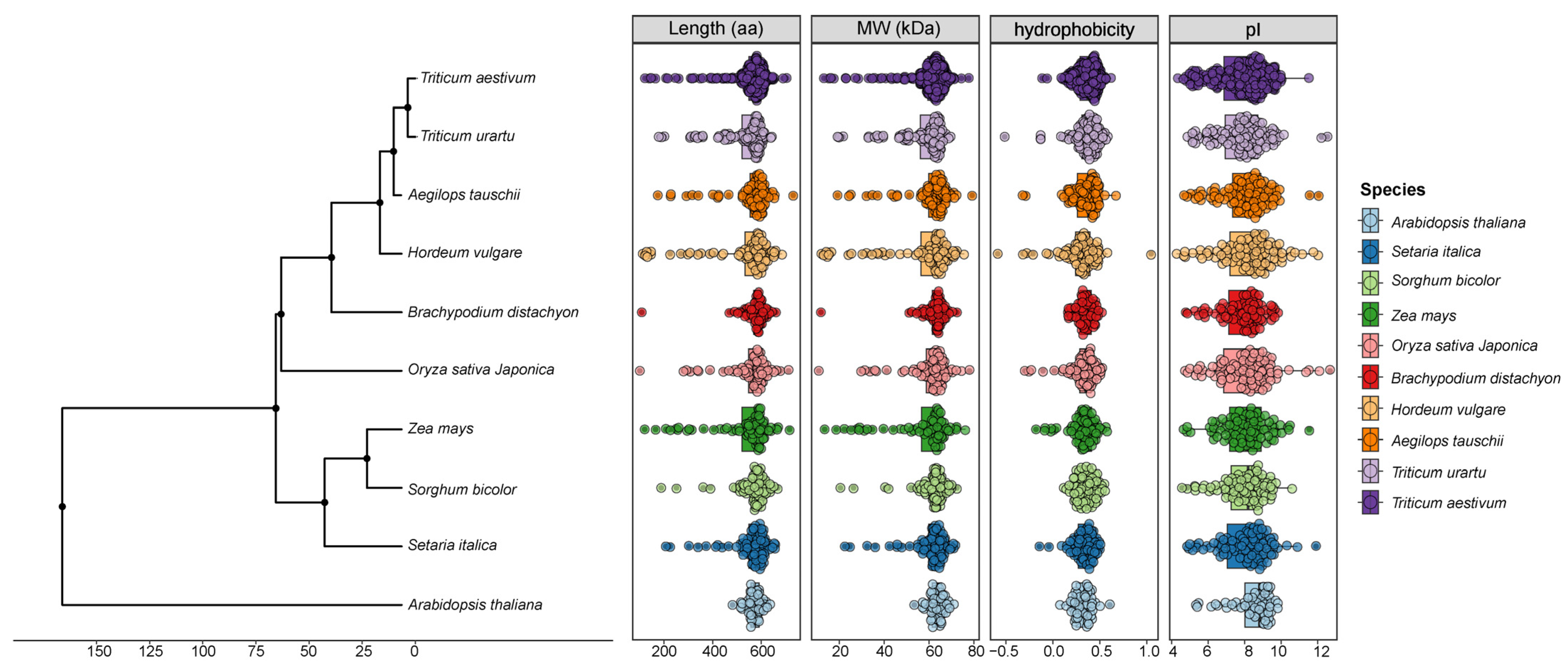 Genes 17 00688 g001 Genes 17 00688 g001