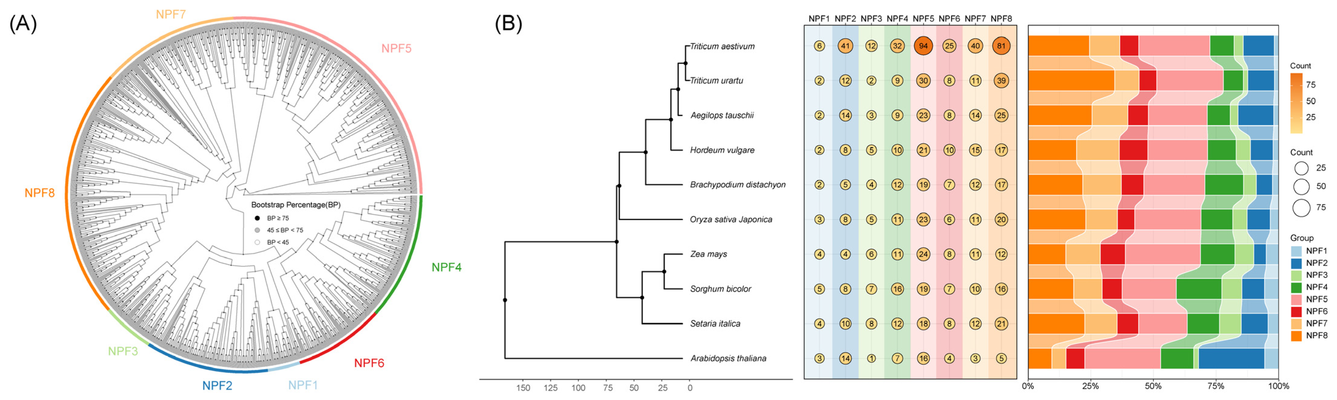 Genes 17 00688 g002 Genes 17 00688 g002