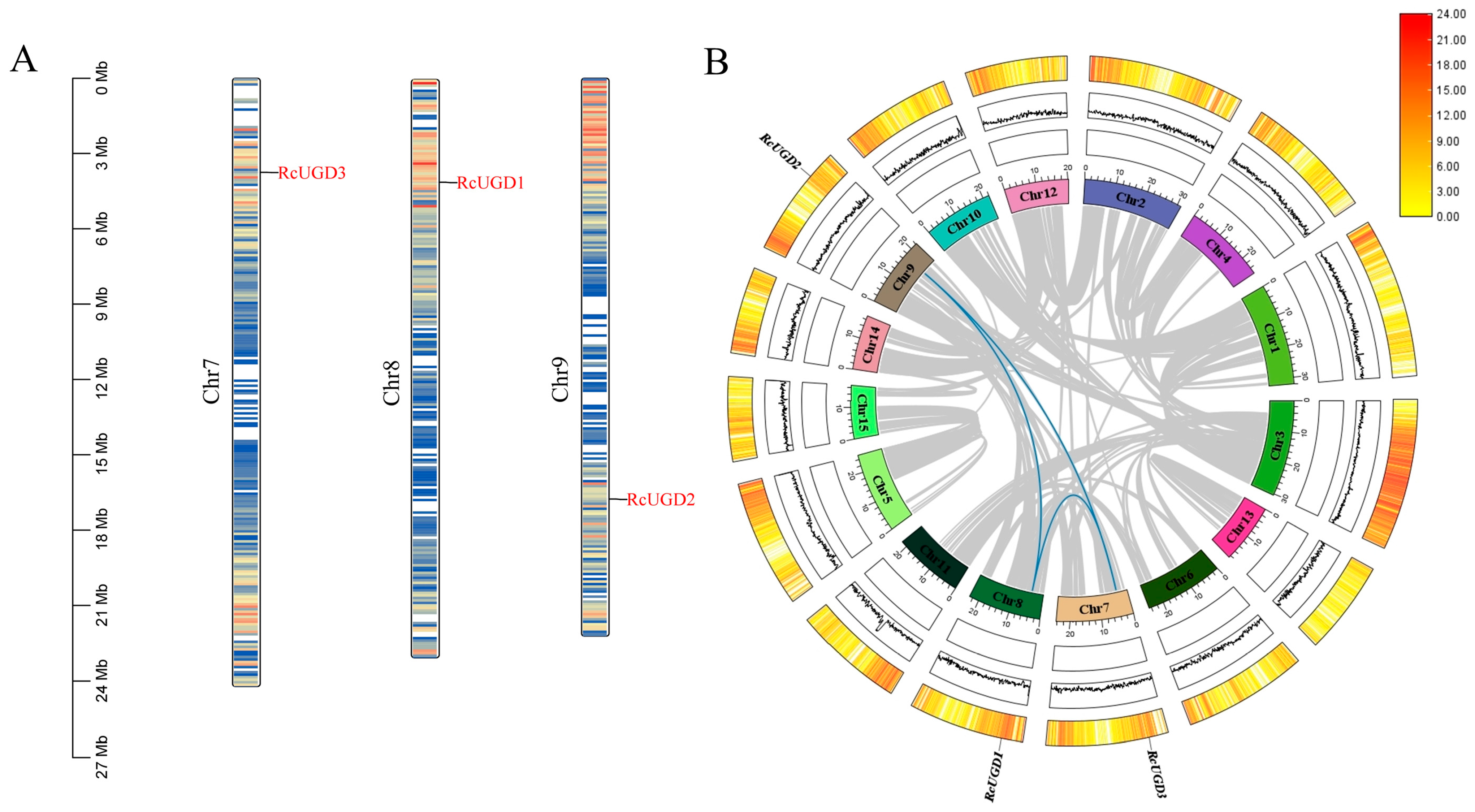 Genes 17 00705 g002 Genes 17 00705 g002