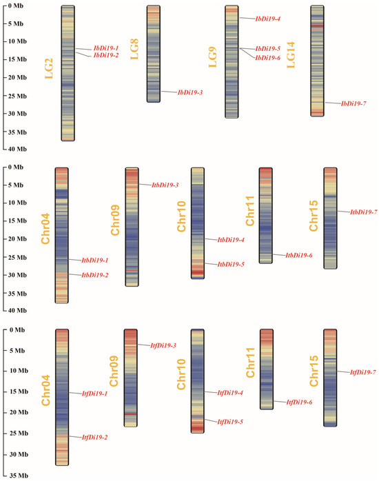 Genome-Wide Identification and Expression Profiling of the Di19