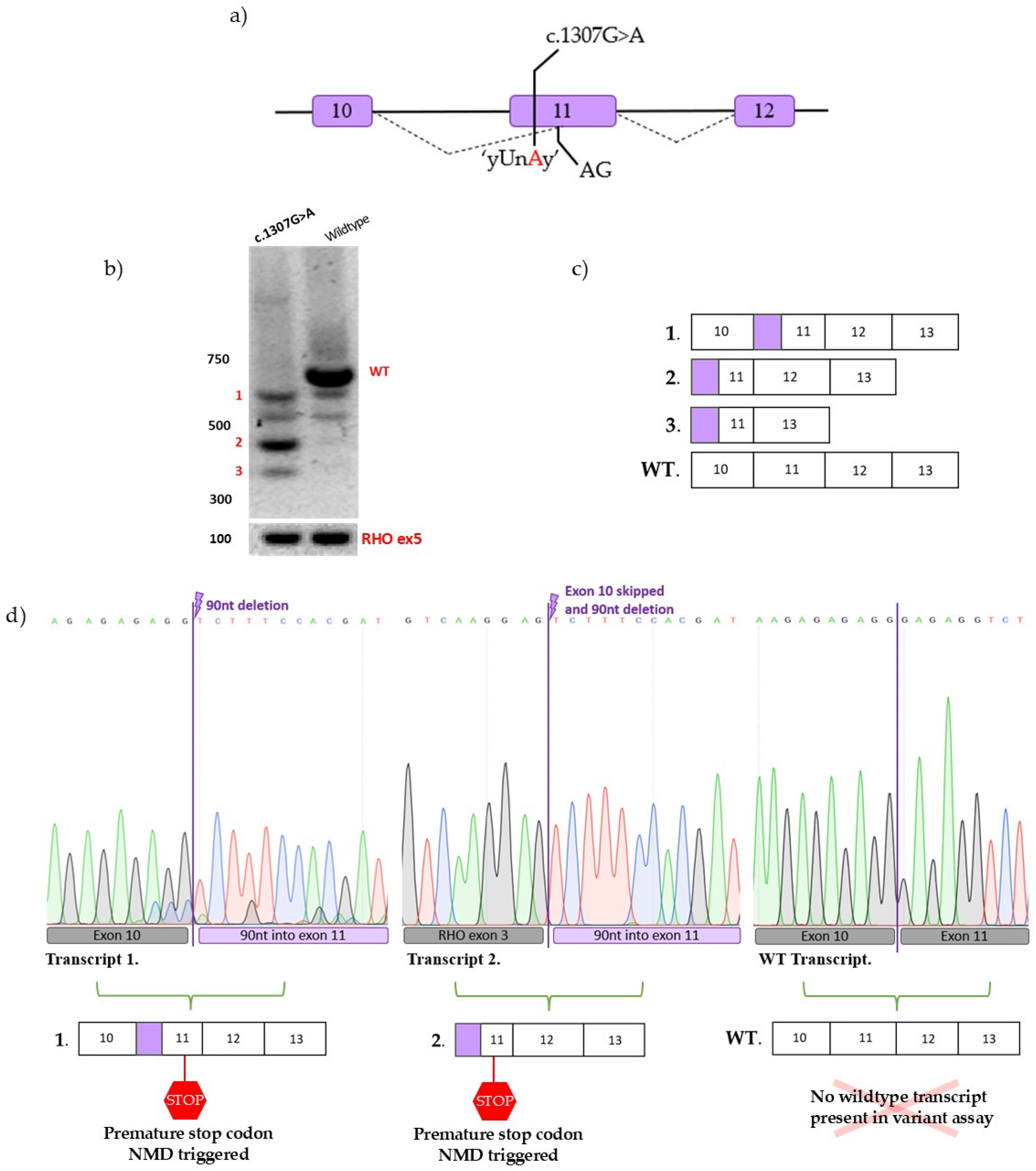 Genes 17 00715 g004 Genes 17 00715 g004