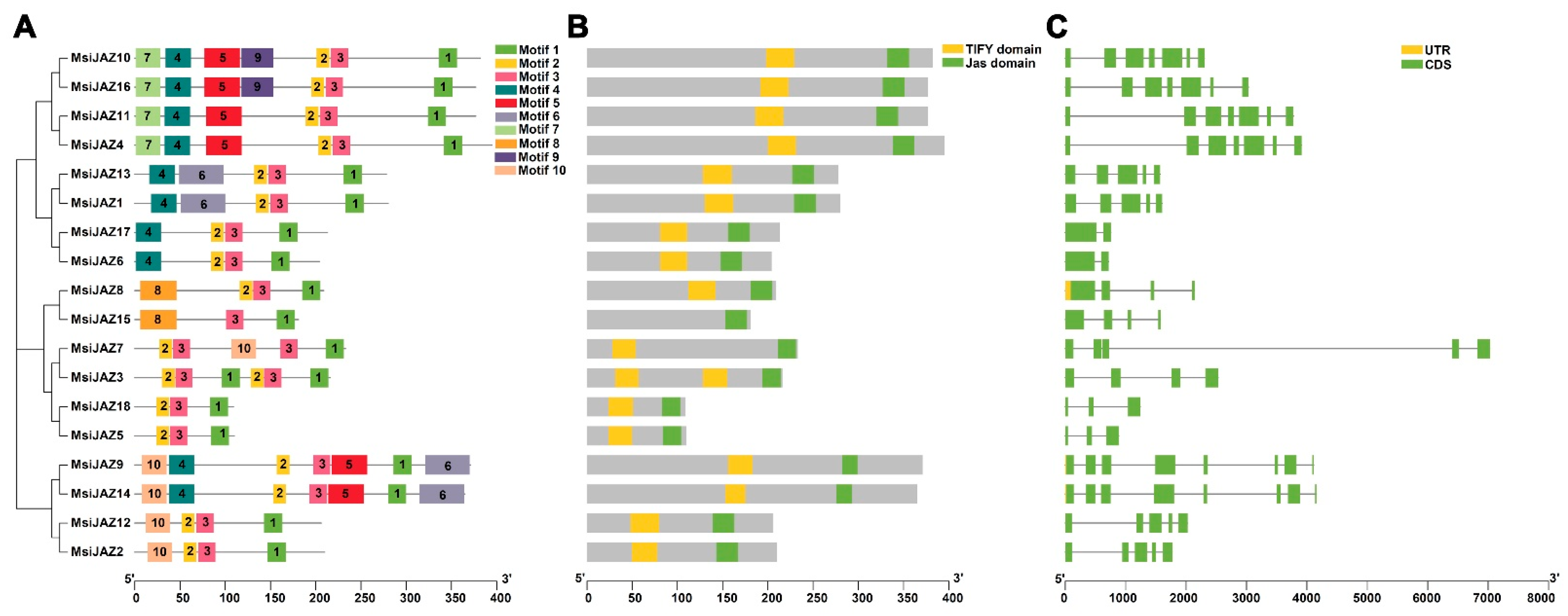 Genes 17 00742 g002 Genes 17 00742 g002