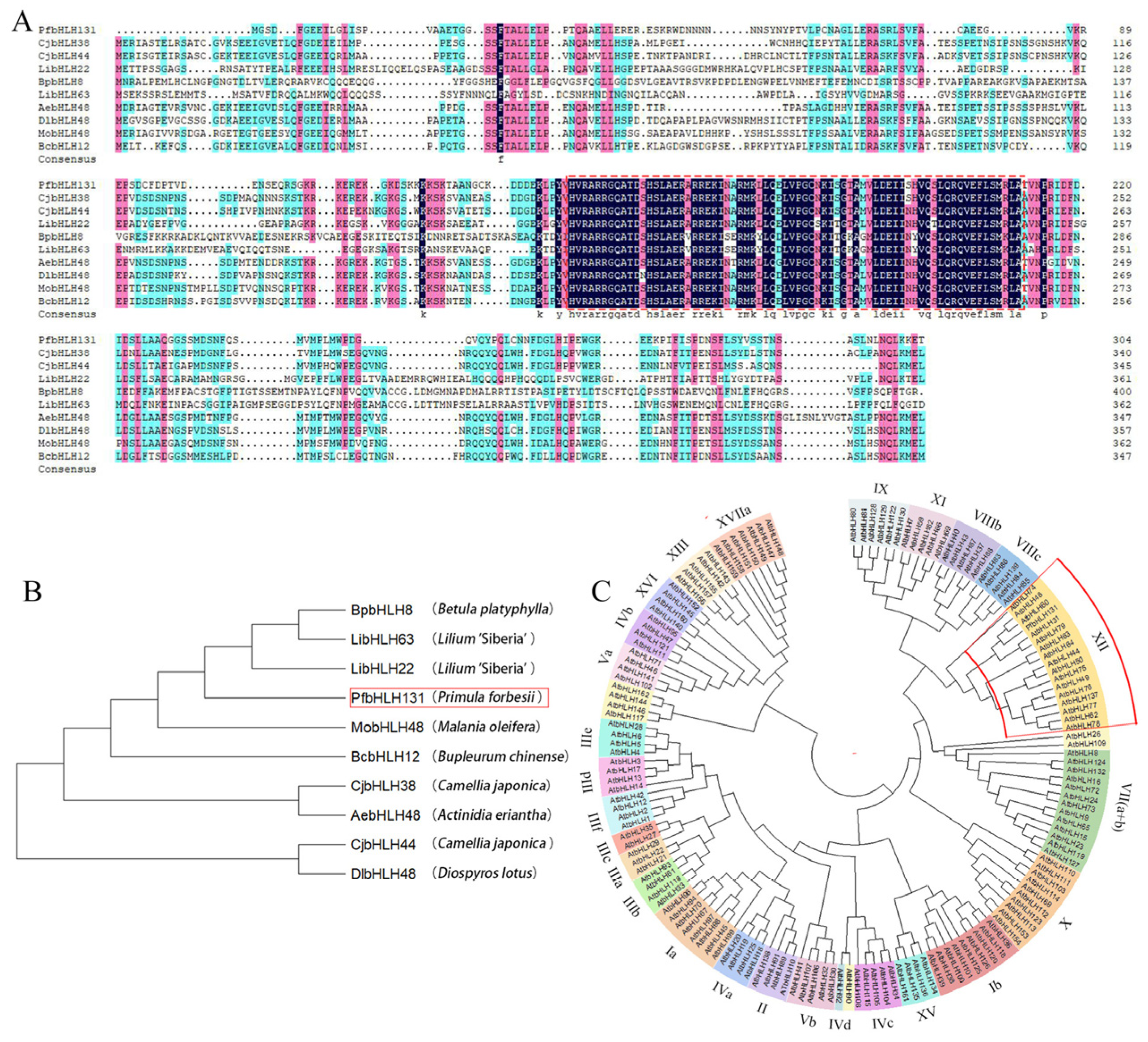 Genes 17 00785 g002 Genes 17 00785 g002