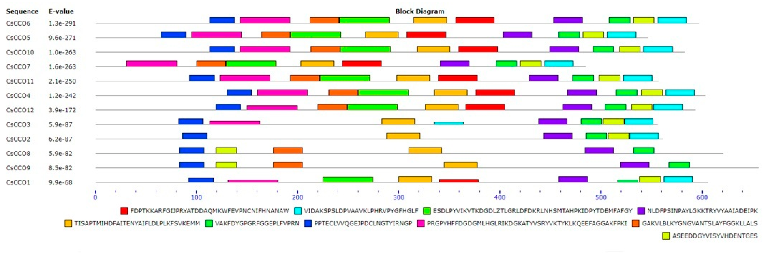 Genes 17 00903 g012