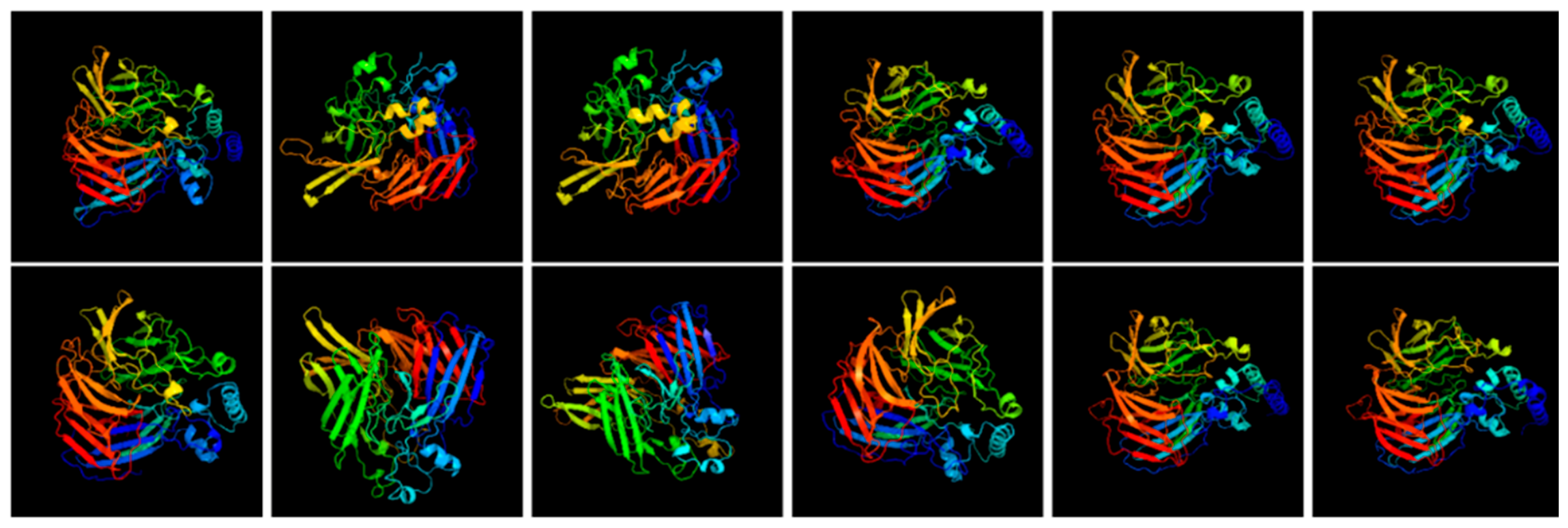 Genes 17 00903 g017