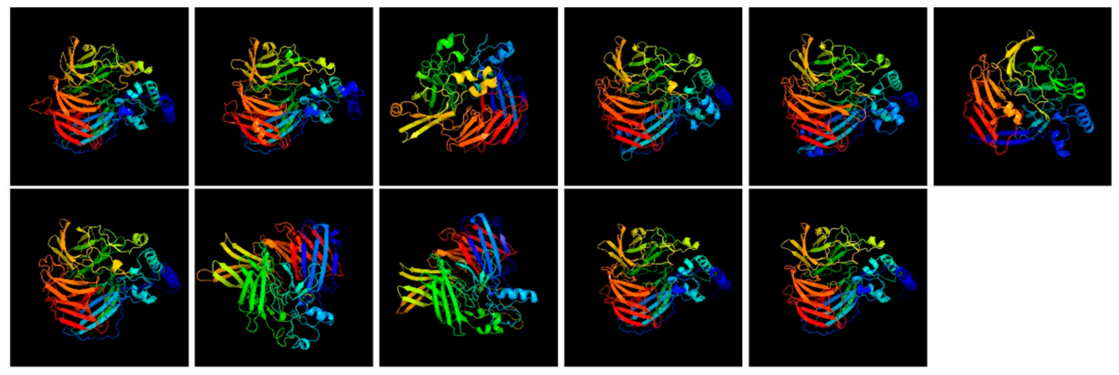 Genes 17 00903 g020