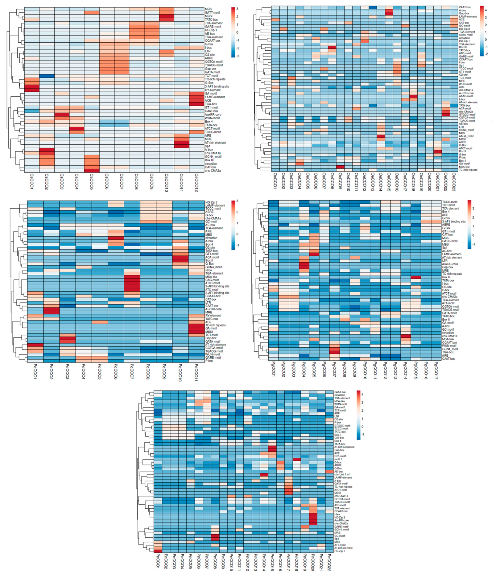 Genes 17 00903 g023