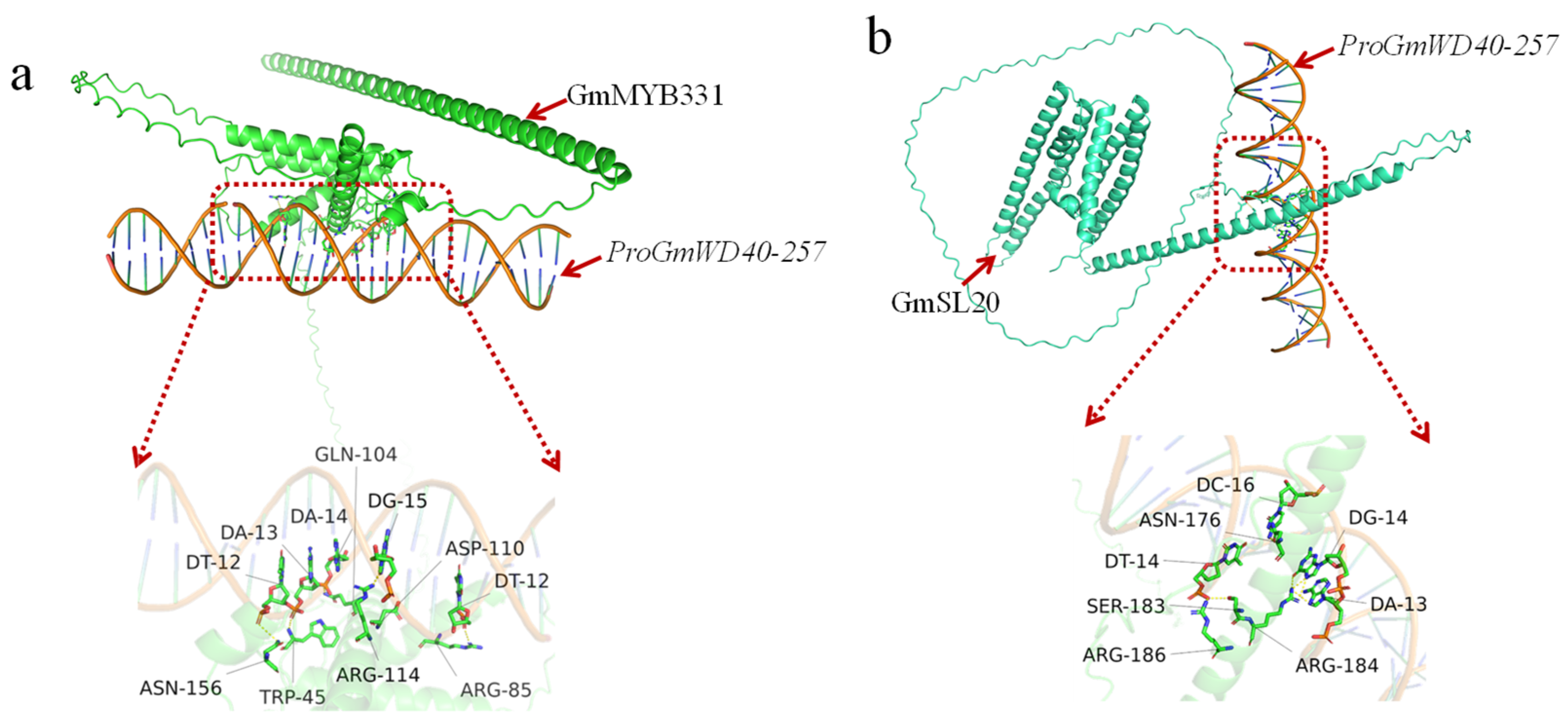 Genes 17 00904 g006 Genes 17 00904 g006