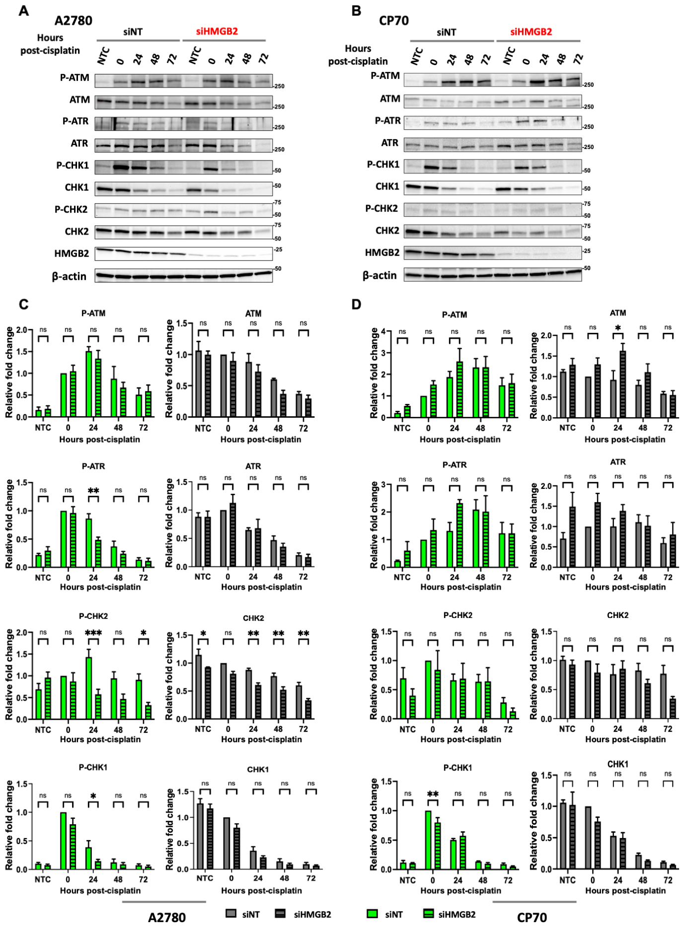Genes 17 00916 g003 Genes 17 00916 g003