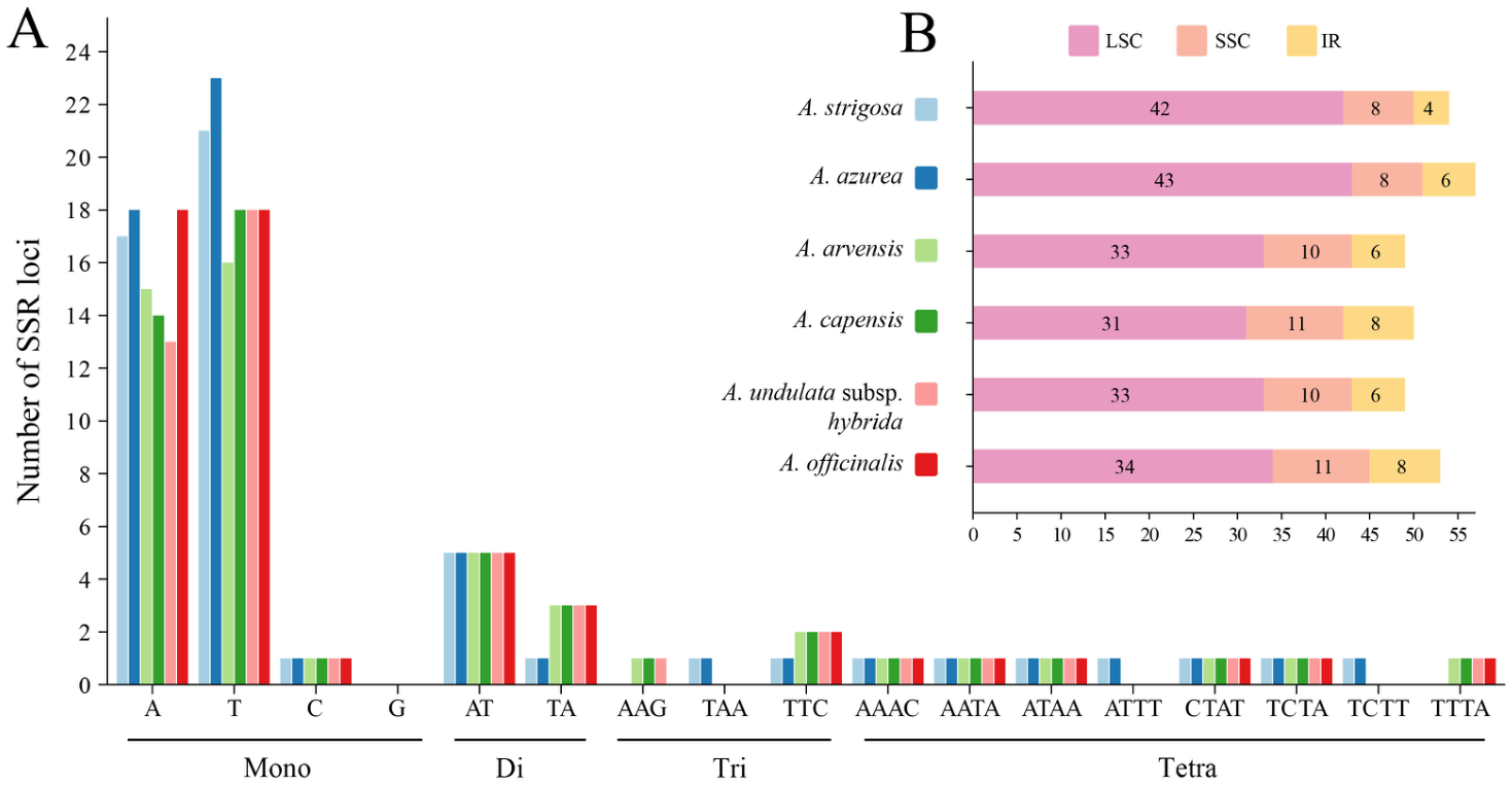 Genes 17 00993 g003 Genes 17 00993 g003