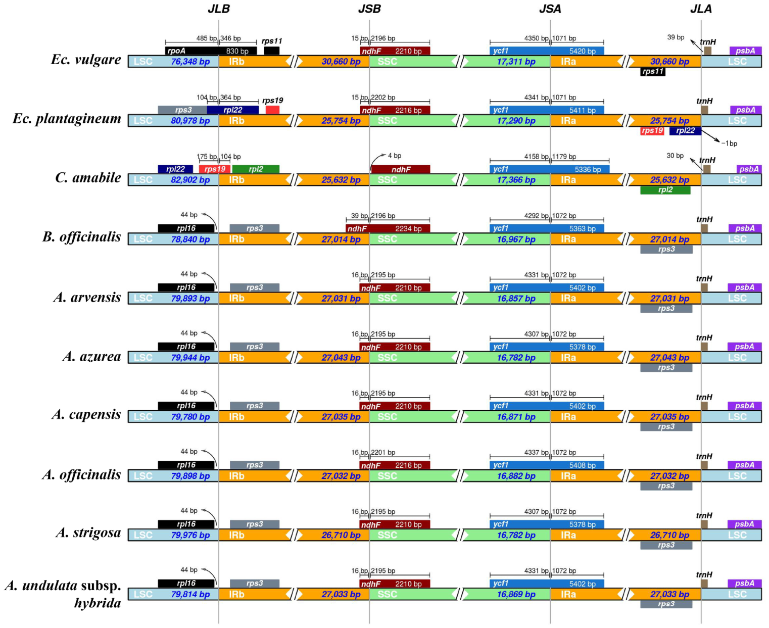 Genes 17 00993 g006 Genes 17 00993 g006