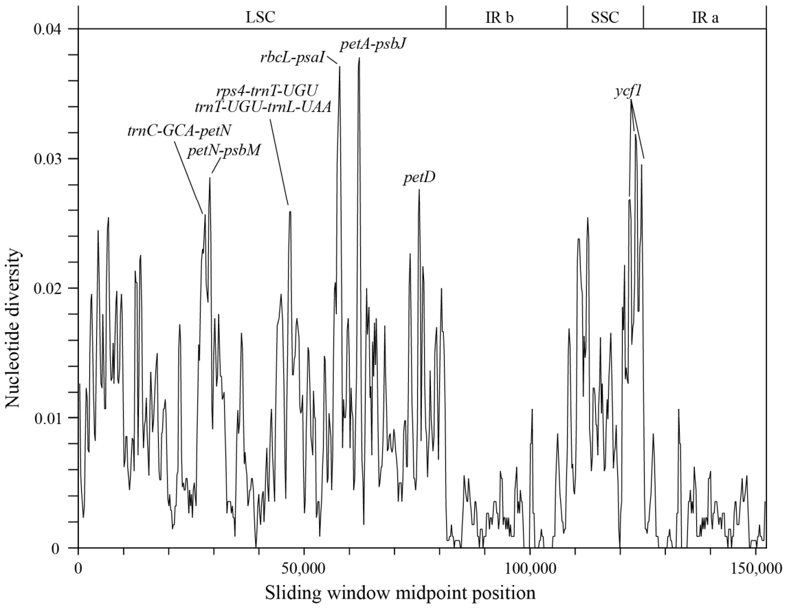 Genes 17 00993 g007 Genes 17 00993 g007