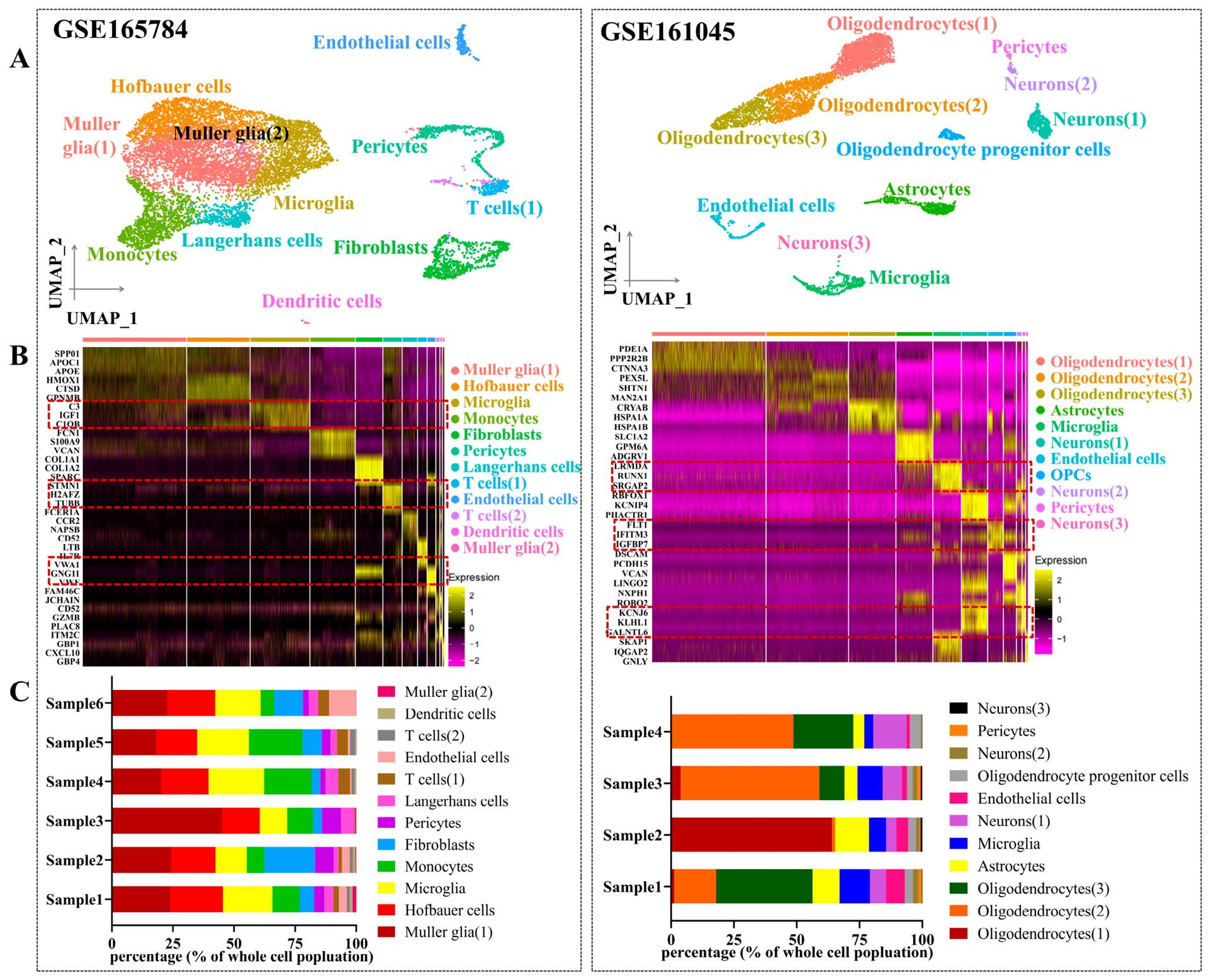 Genes 17 01004 g002 Genes 17 01004 g002