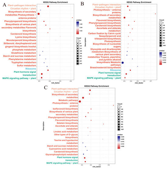 can i take inositol and glutathione together Genome-Wide Identification of the PsatGST Gene Family Expression Analysis Under Freezing Stress in Peas (Pisum sativum L.) Size:90 Capsules - 3 months Peptide BPC-157 - Пентадекапептид product type_serum