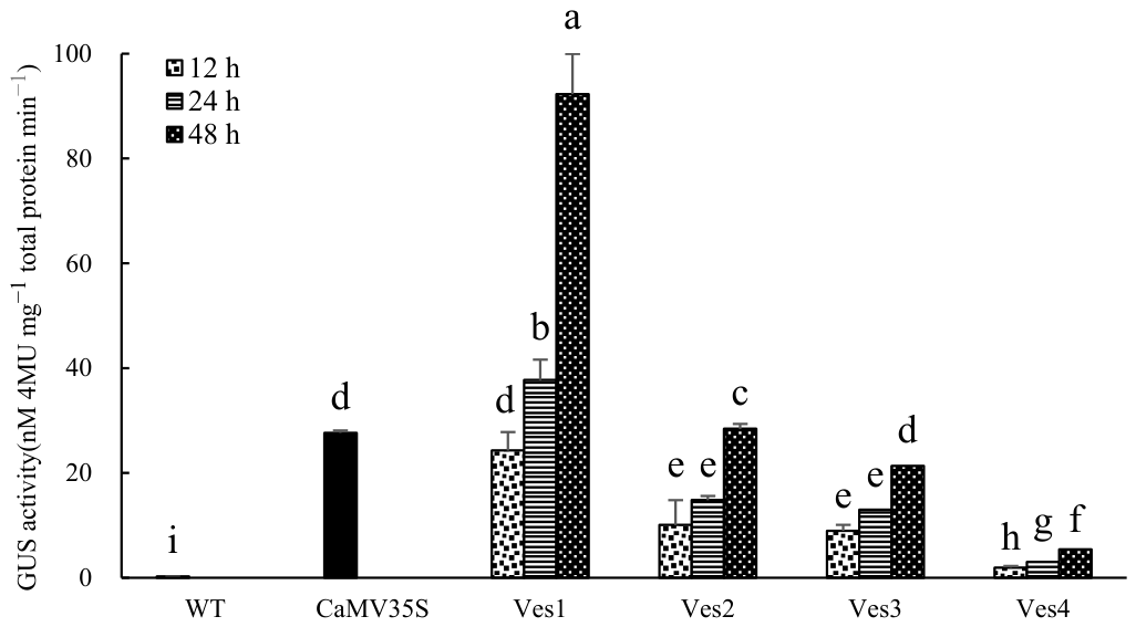 Genes 17 01142 g004 Genes 17 01142 g004