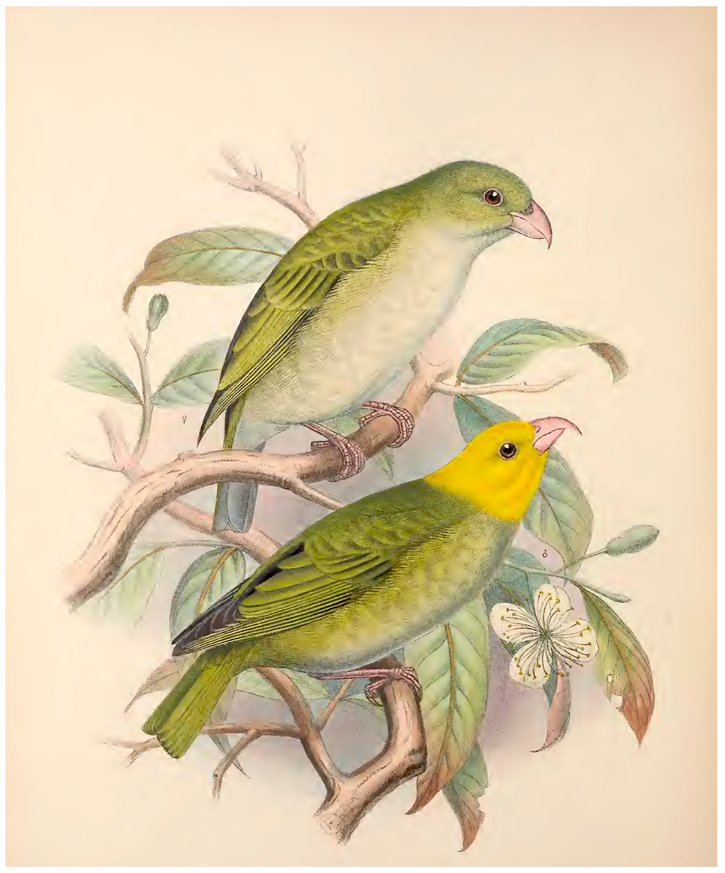 Geographies 01 00012 g005 Geographies 01 00012 g005