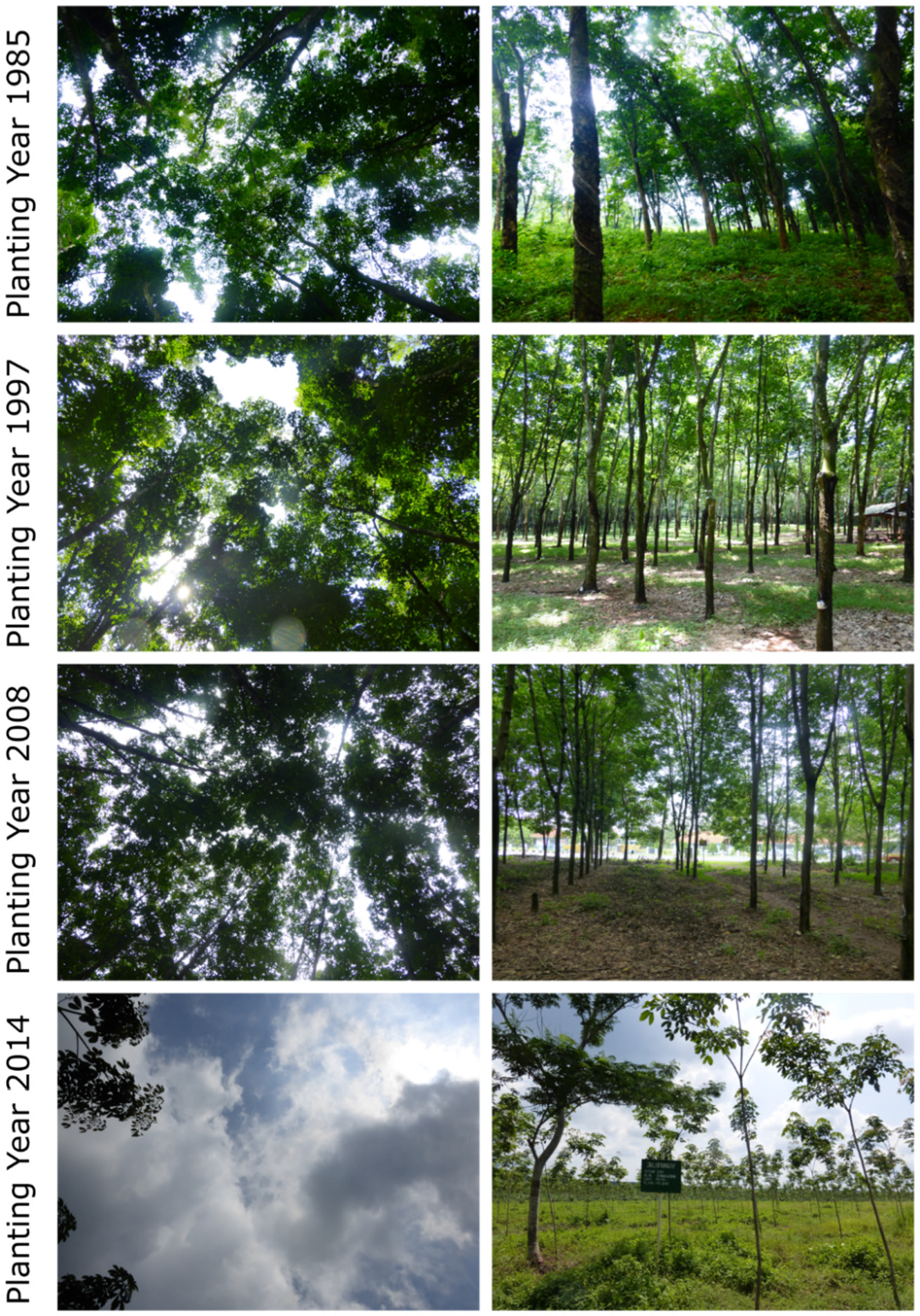 Geographies 02 00012 g002