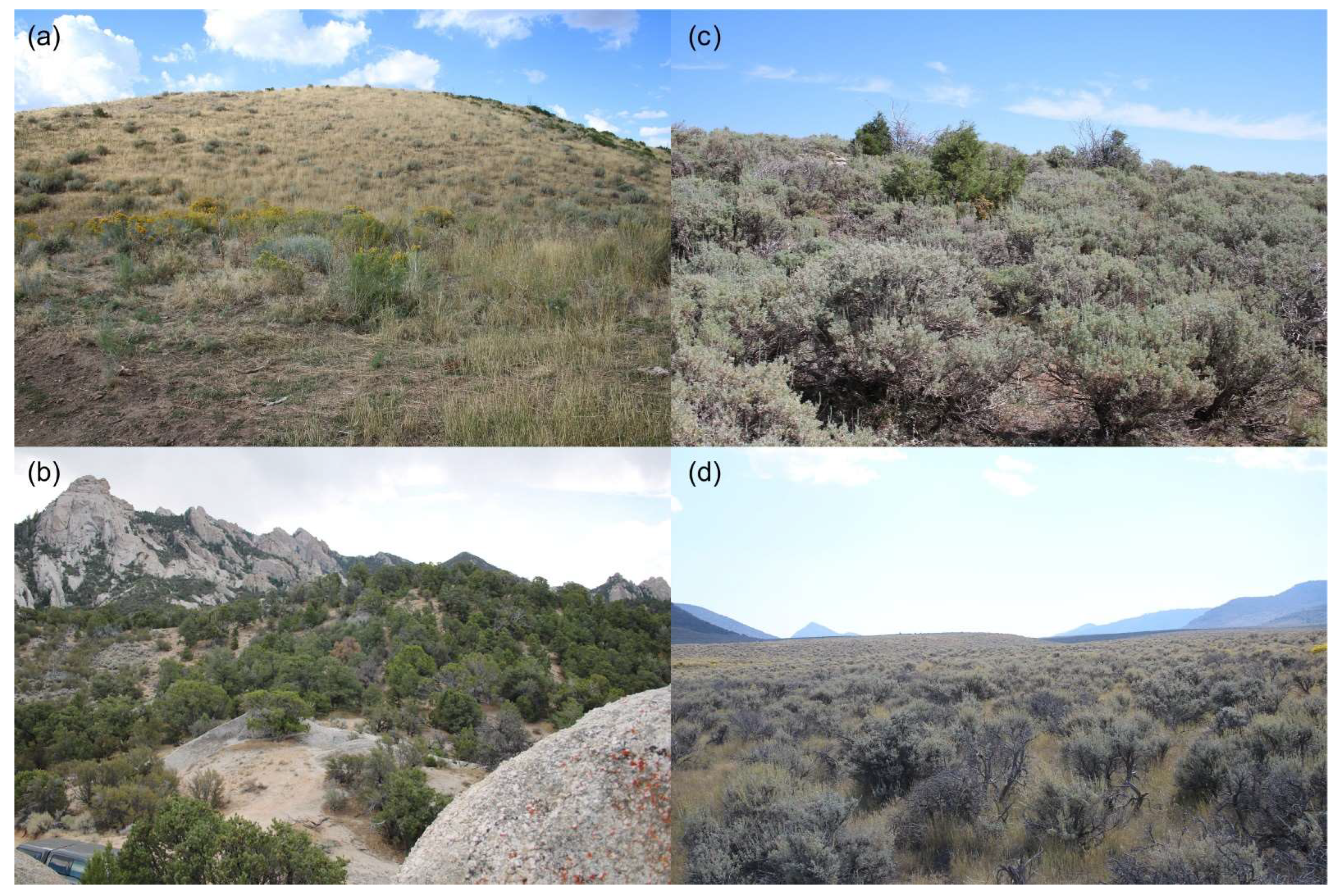 Geographies 03 00018 g002