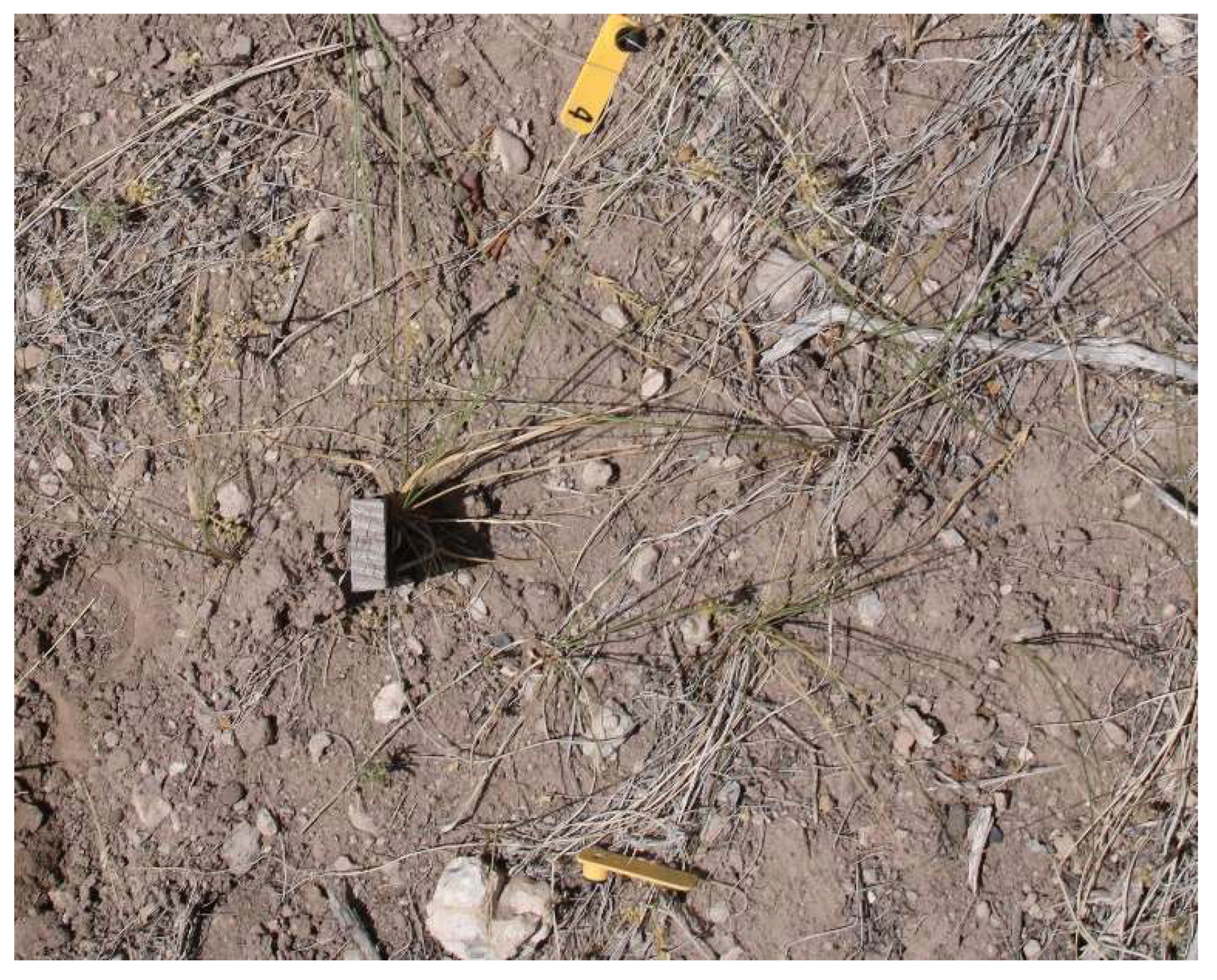 Geographies 03 00018 g012