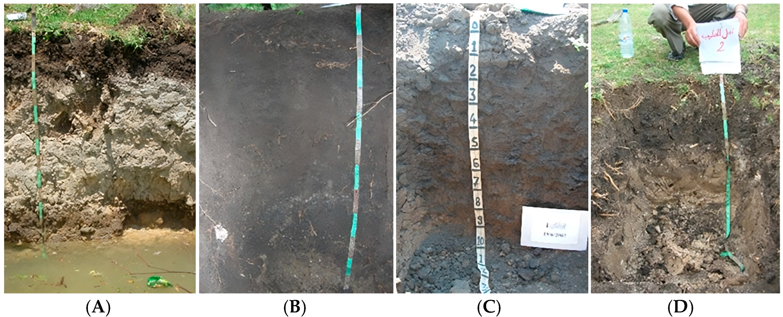 Geographies 04 00011 g004 Geographies 04 00011 g004