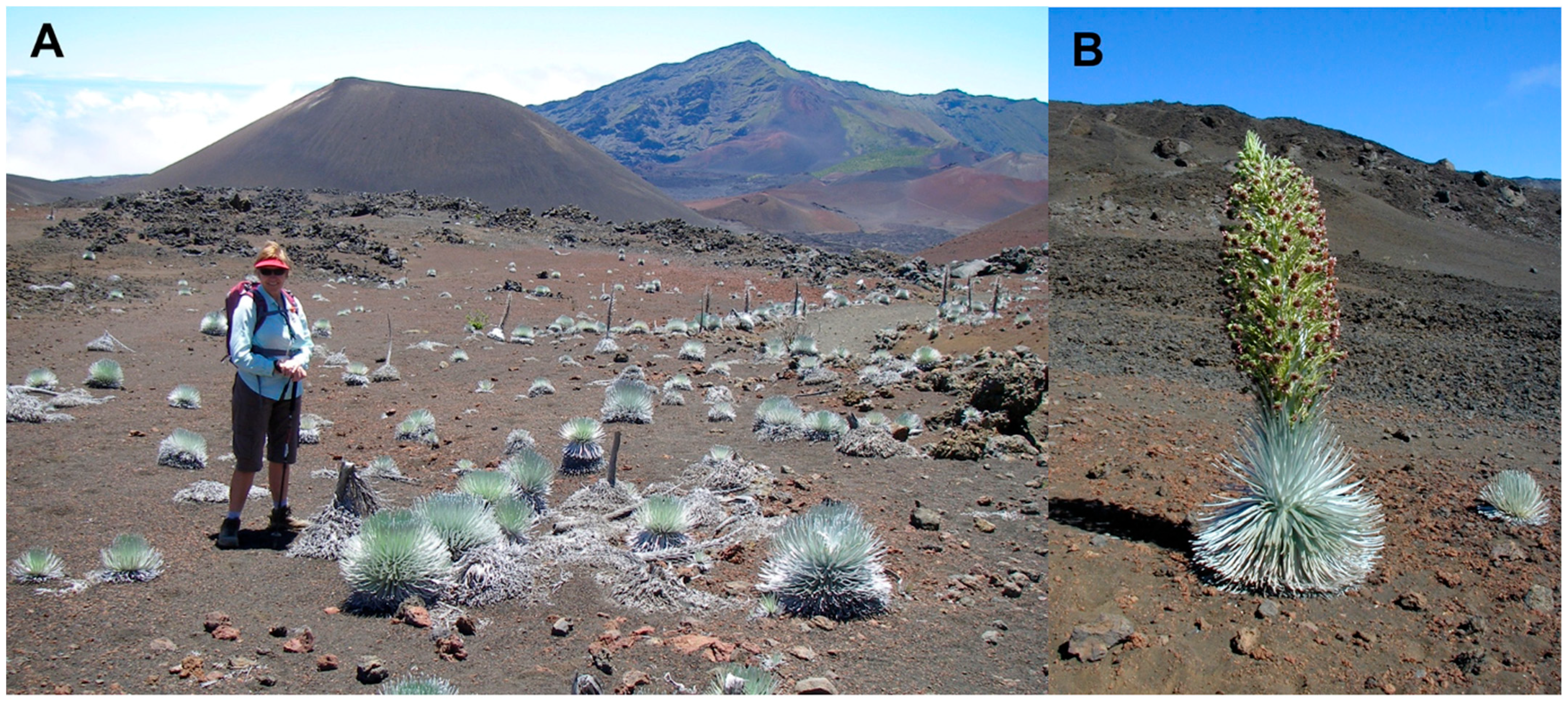 Geographies 04 00022 g004 Geographies 04 00022 g004