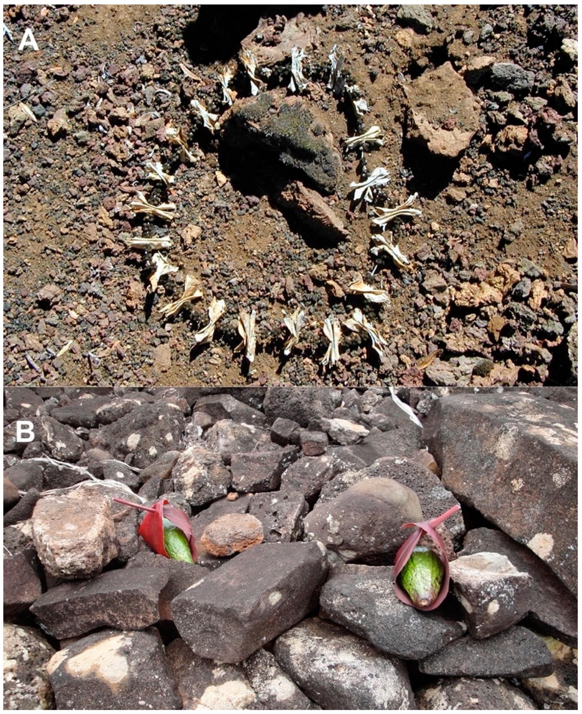 Geographies 04 00022 g006 Geographies 04 00022 g006