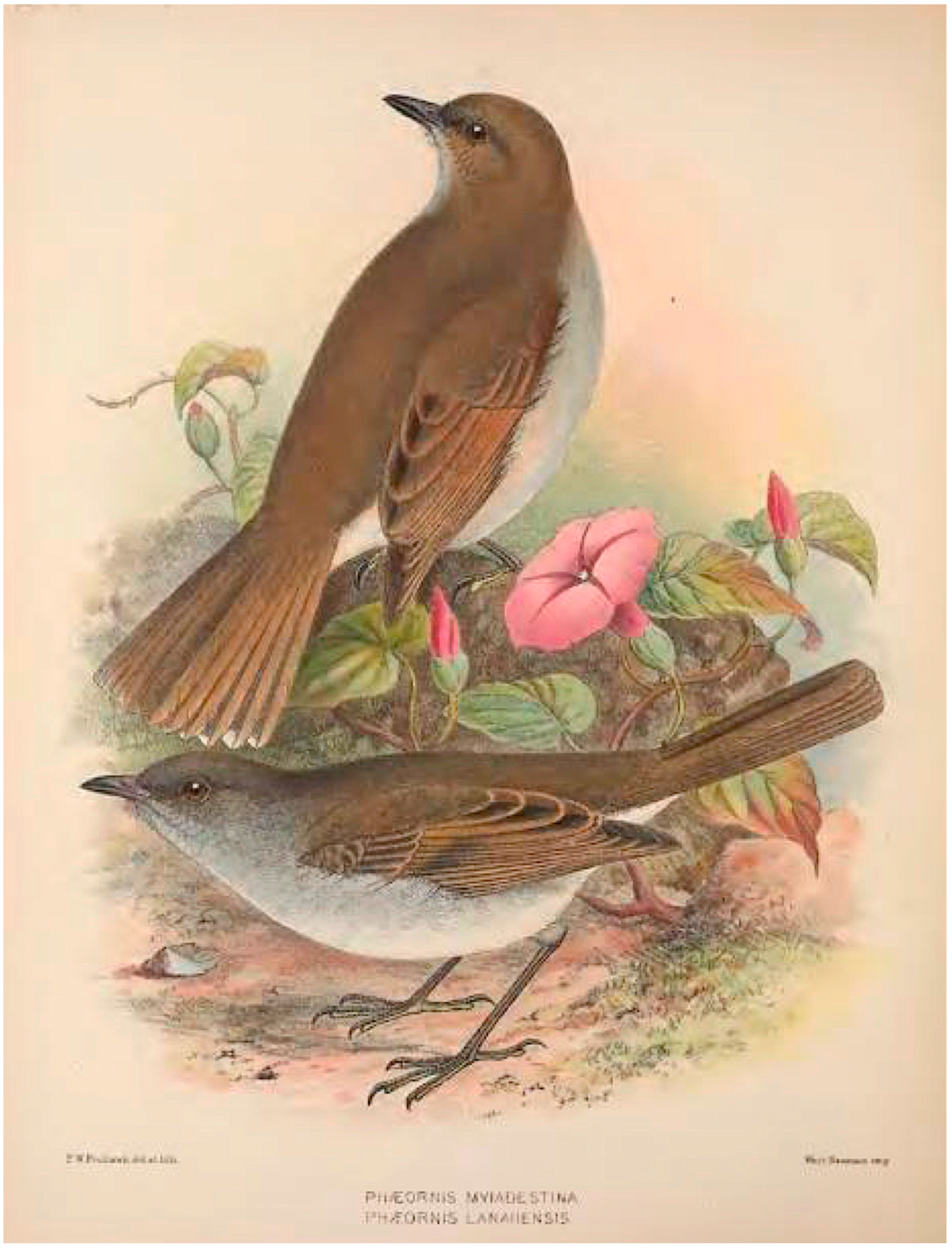 Geographies 04 00022 g012 Geographies 04 00022 g012