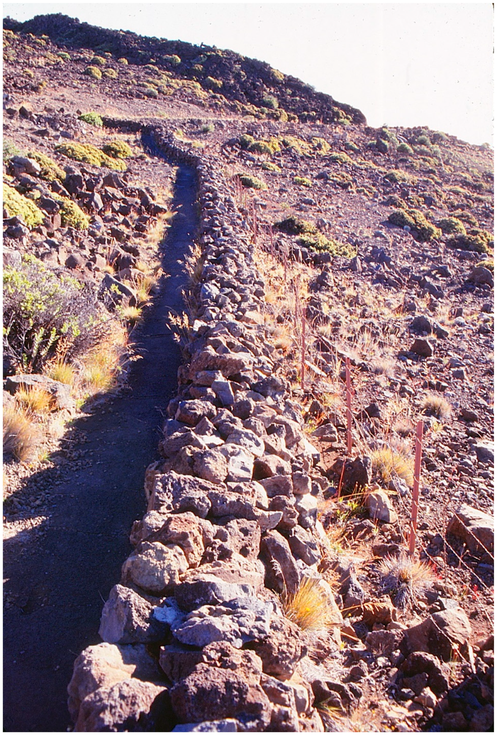 Geographies 04 00022 g013 Geographies 04 00022 g013