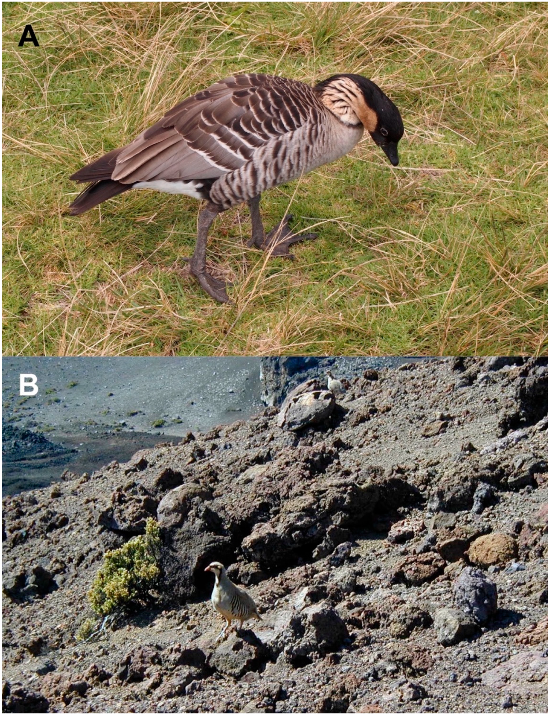 Geographies 04 00022 g014 Geographies 04 00022 g014