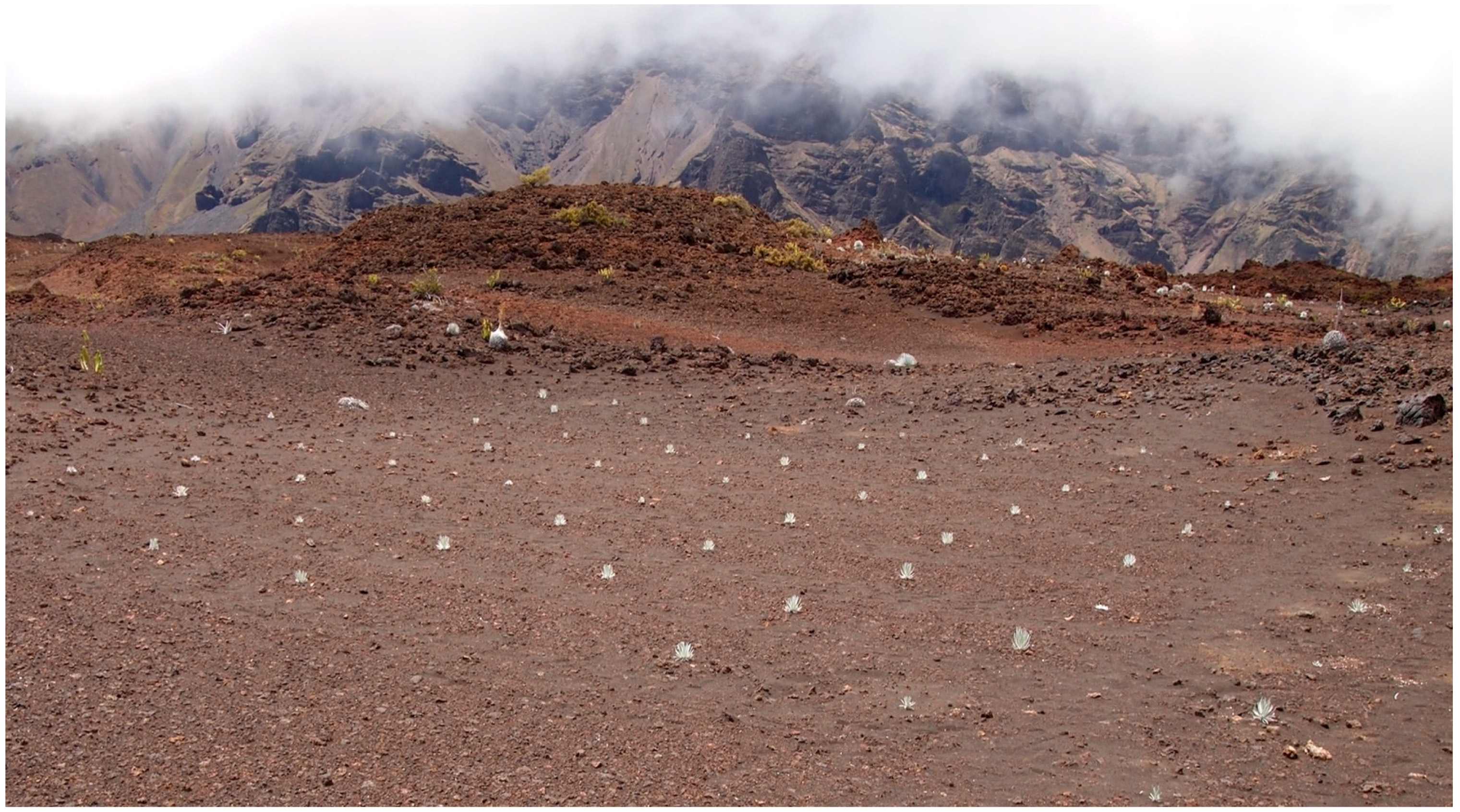 Geographies 04 00022 g015 Geographies 04 00022 g015