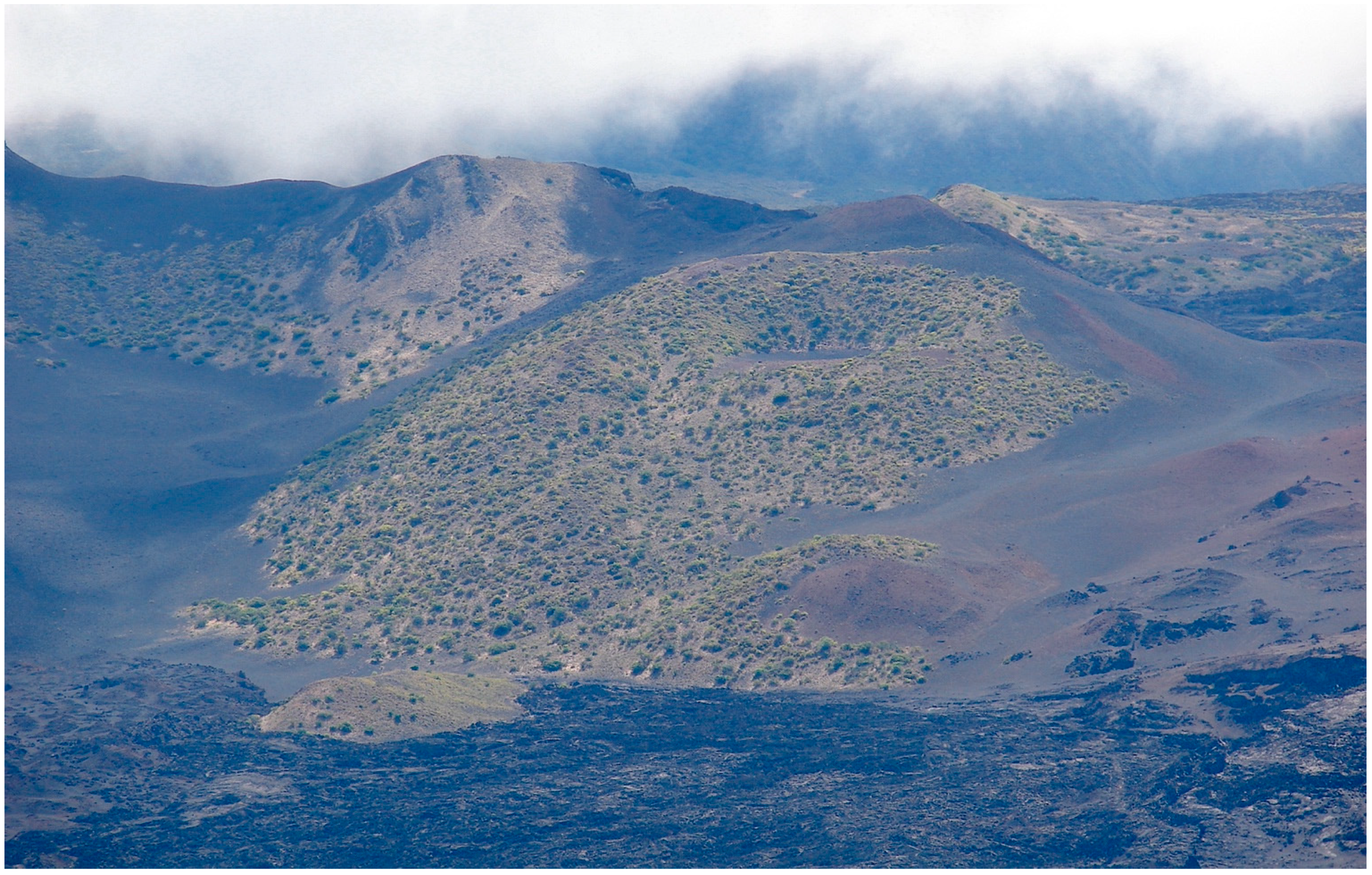 Geographies 04 00022 g016 Geographies 04 00022 g016